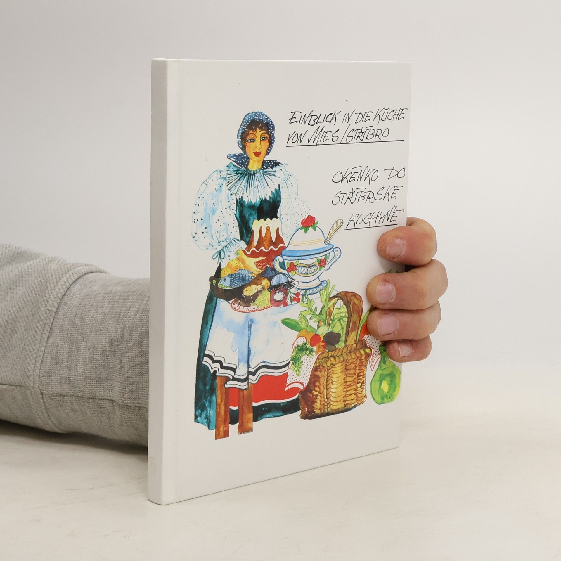 Milena Steinerová Einblick in die Küche von Mies, Stříbro