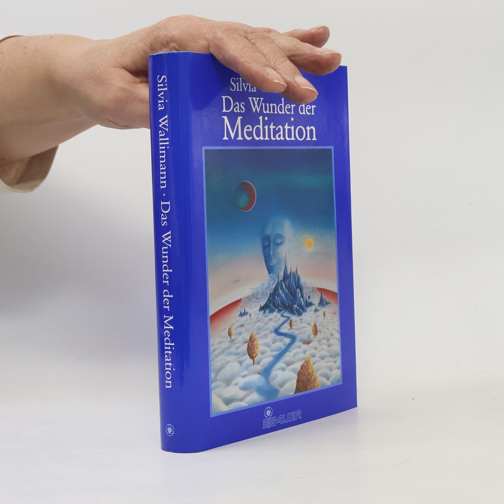 Silvia Wallimann Das Wunder der Meditation