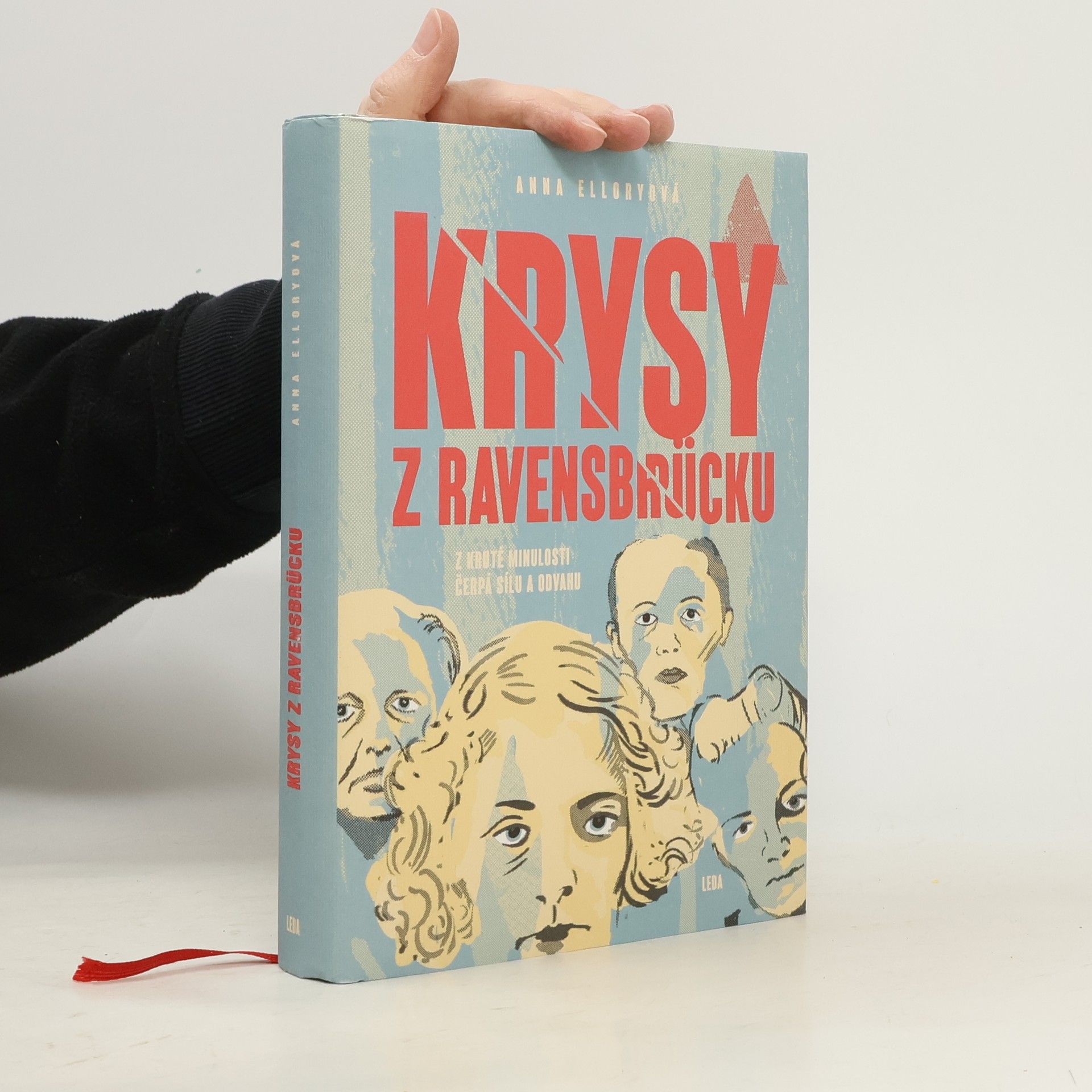 Anna Ellory Krysy z Ravensbrücku