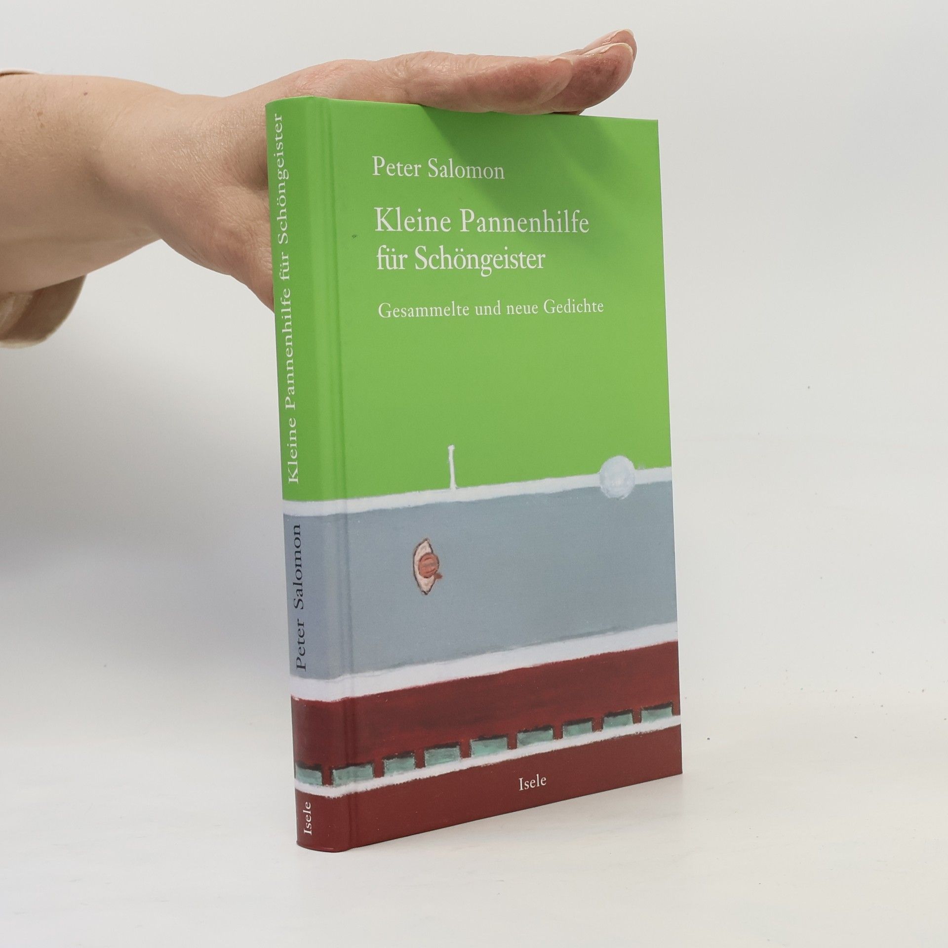 Peter Salomon Kleine Pannenhilfe für Schöngeister