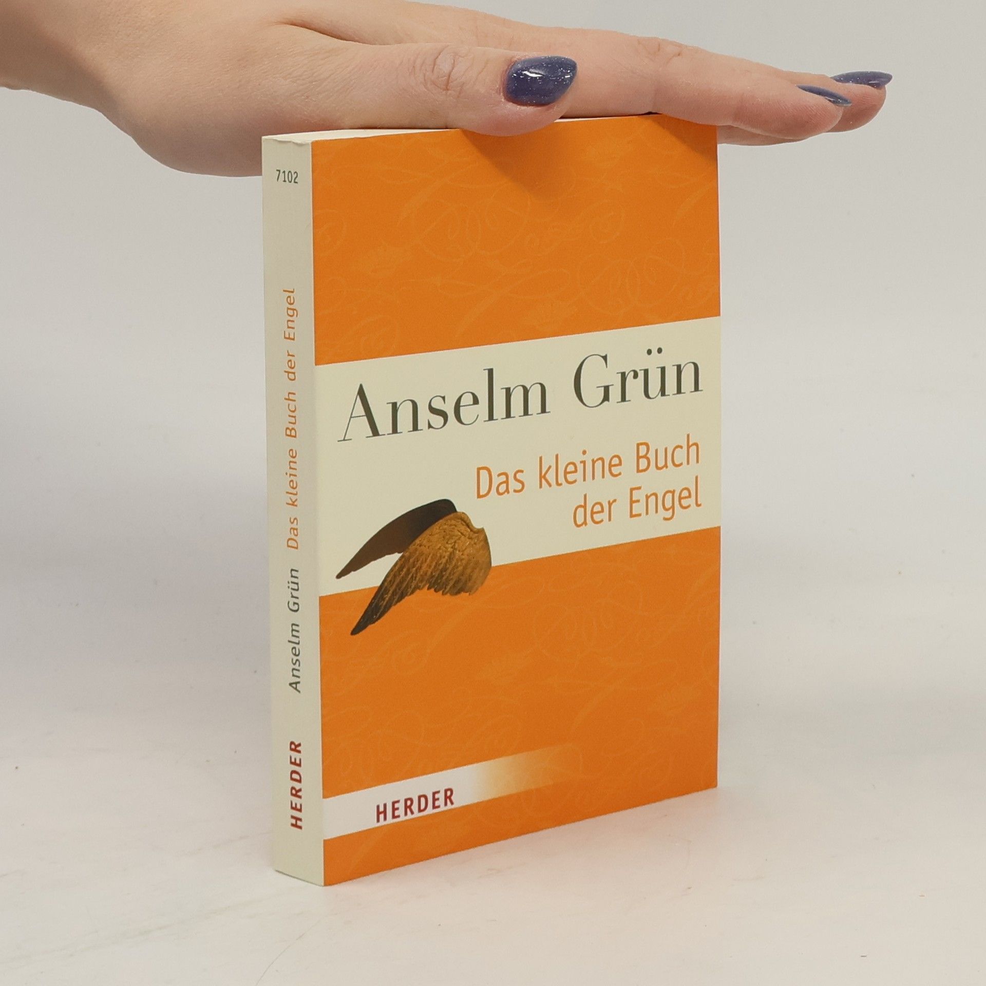 Anselm Grün Das kleine Buch der Engel
