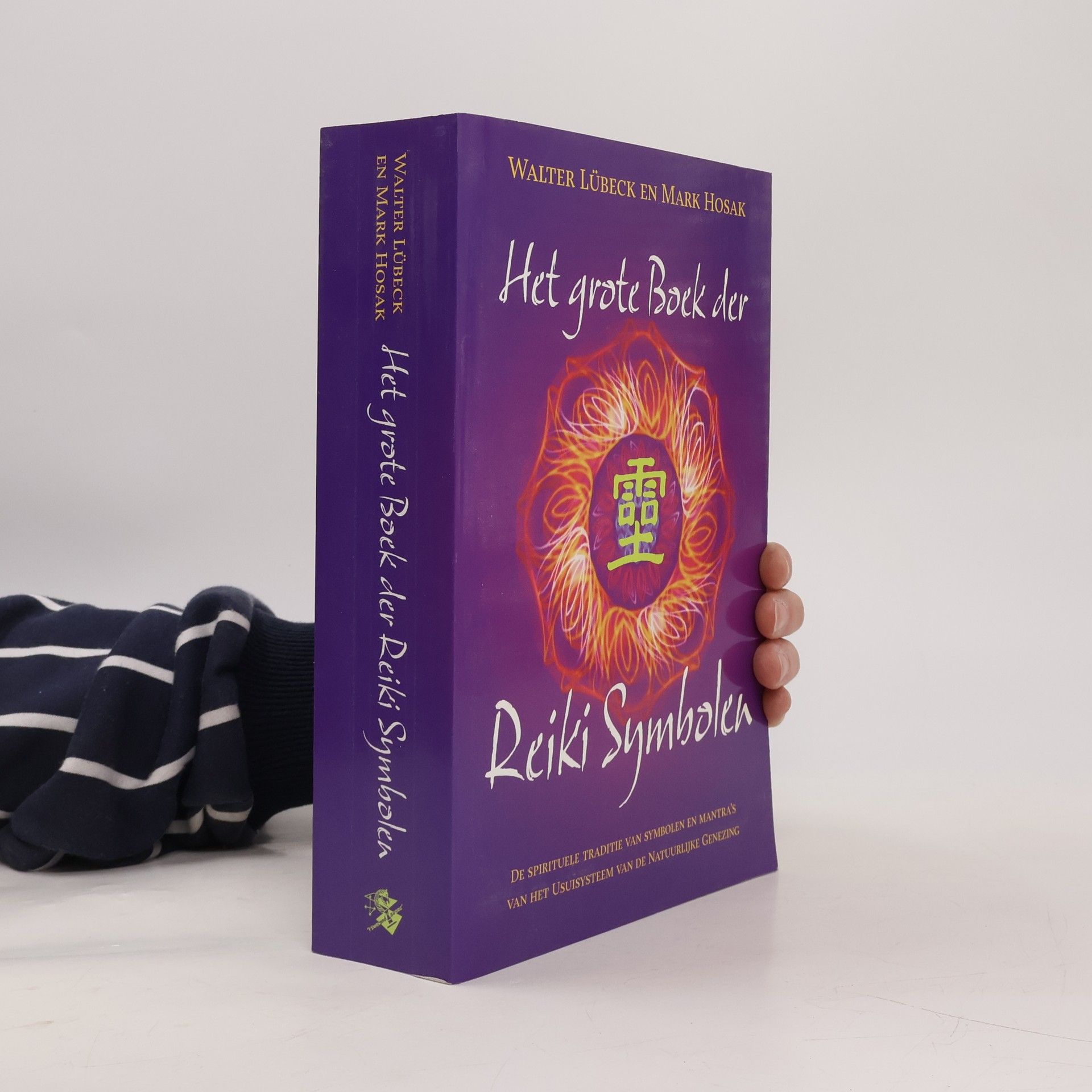Het grote boek der reiki symbolen