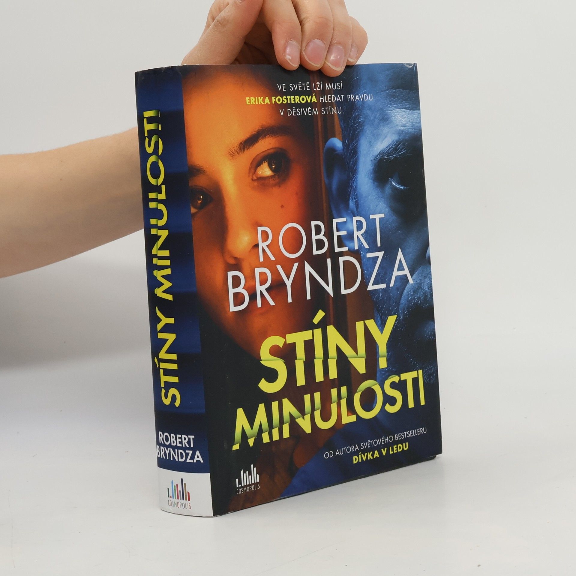 Robert Bryndza Stíny minulosti