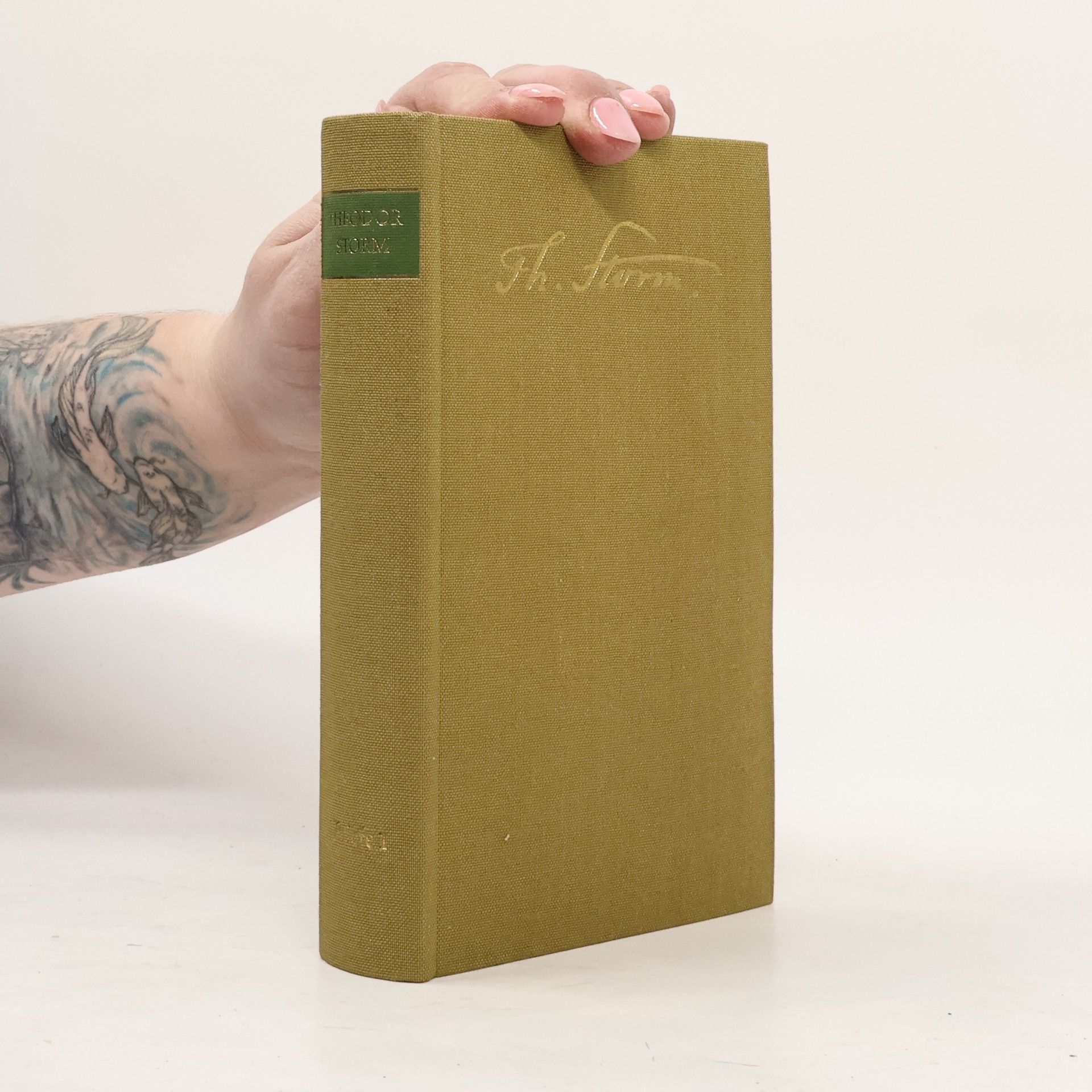 Hans Theodor Woldsen Storm Briefe