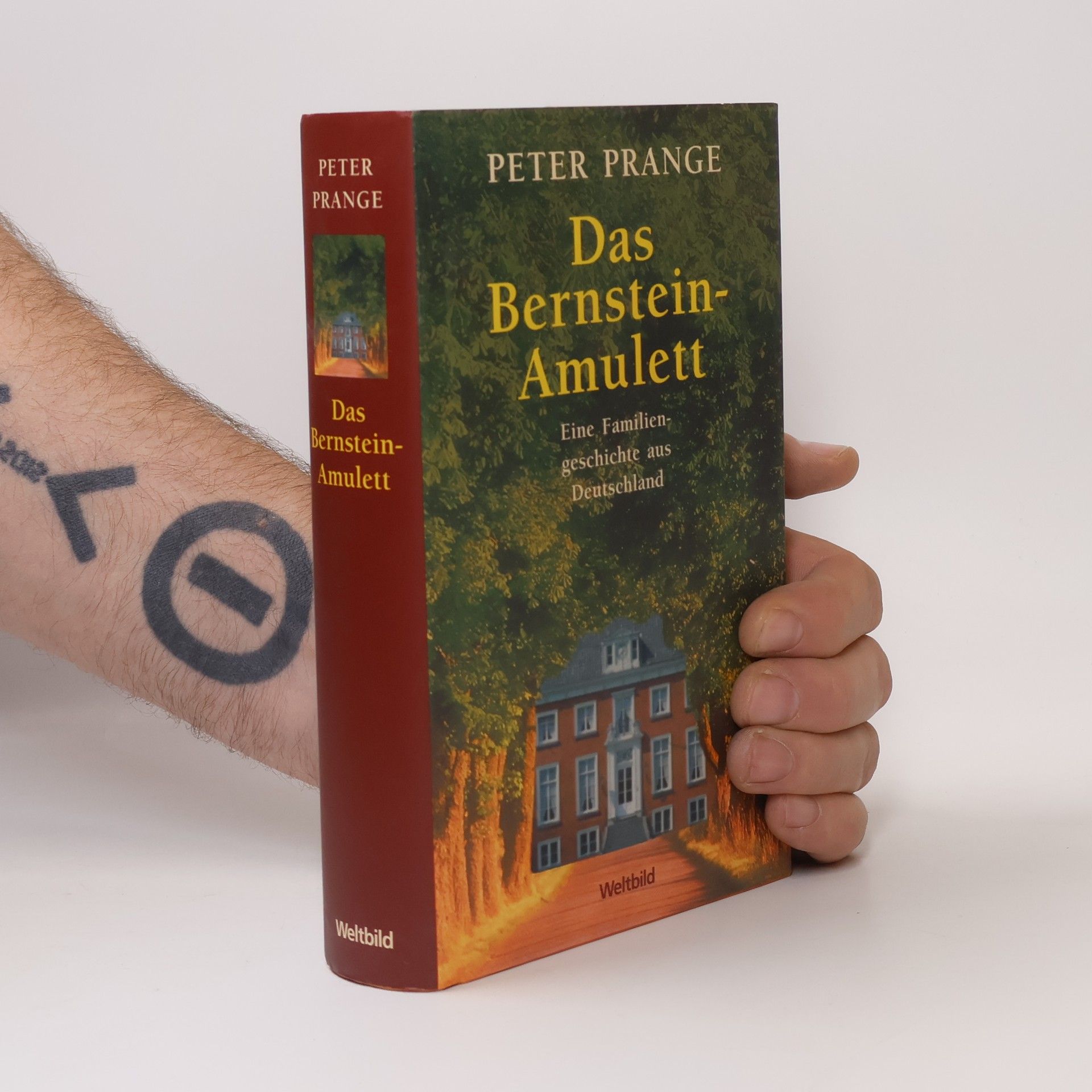 Peter Prange Das Bernstein-Amulett