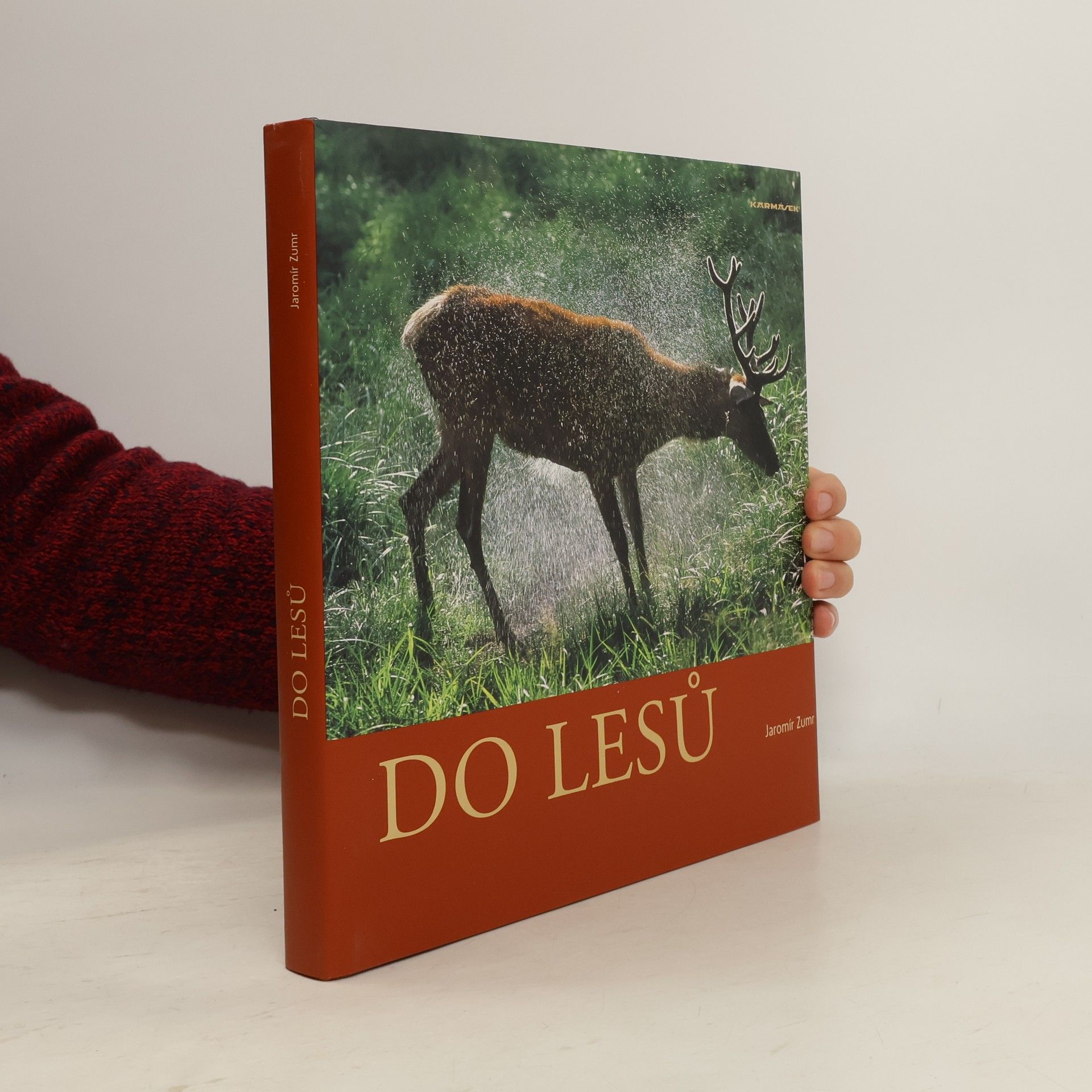 Do lesů