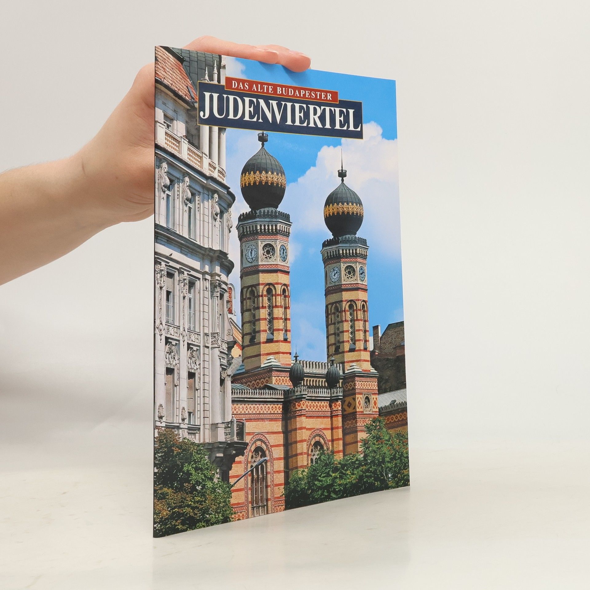 Judit N. Kósa Das alte Budapester Judenviertel