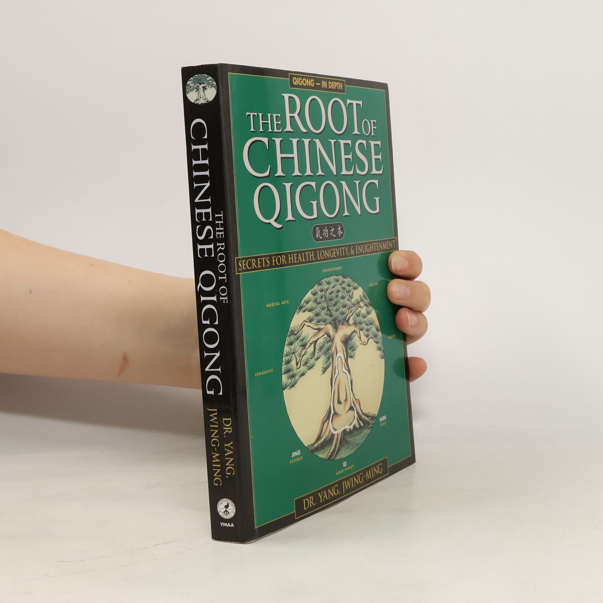 Junmin Yang The Root of Chinese Qigong