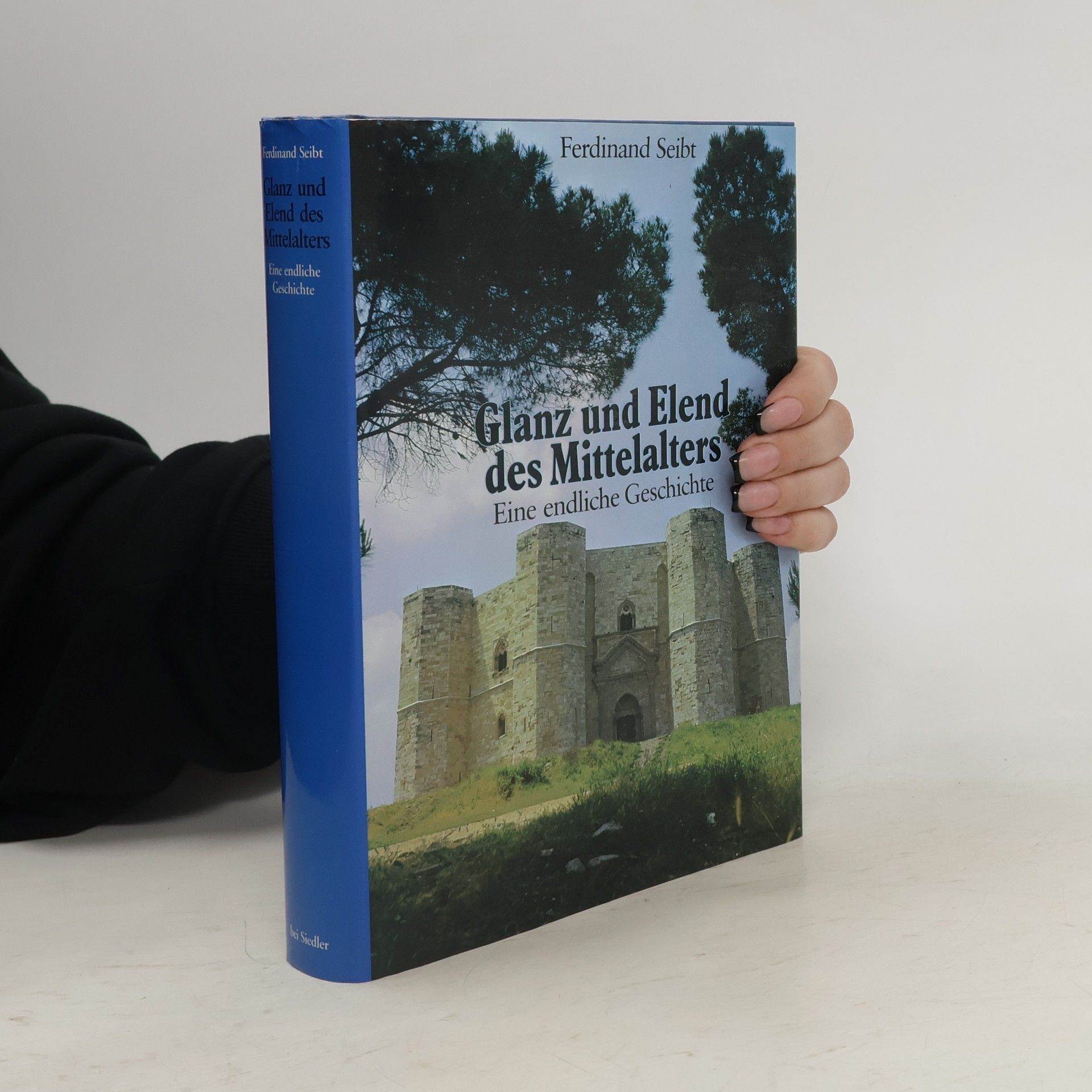 Ferdinand Seibt Glanz und Elend des Mittelalters. Eine endliche Geschichte
