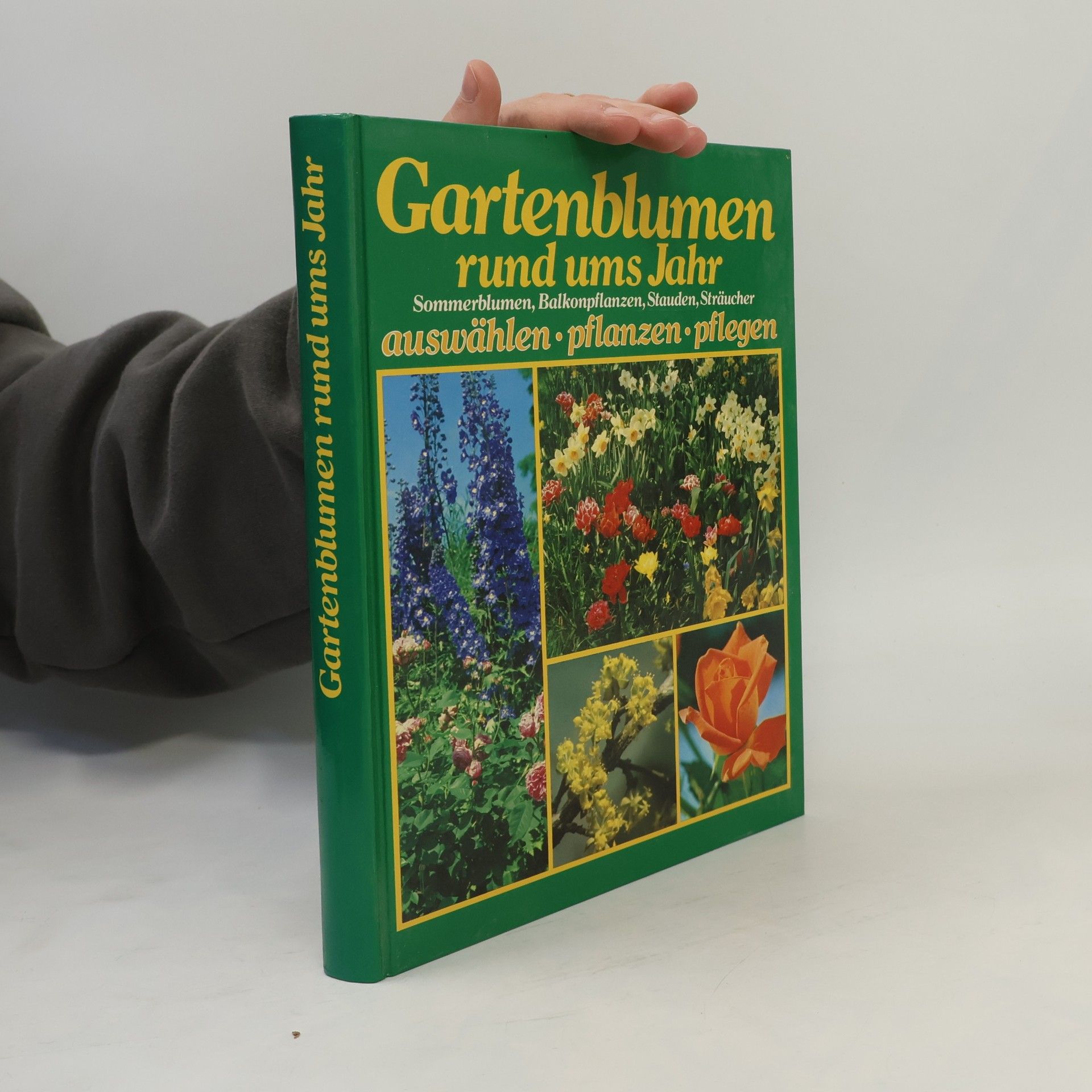 Autores varios Gartenblumen rund ums Jahr