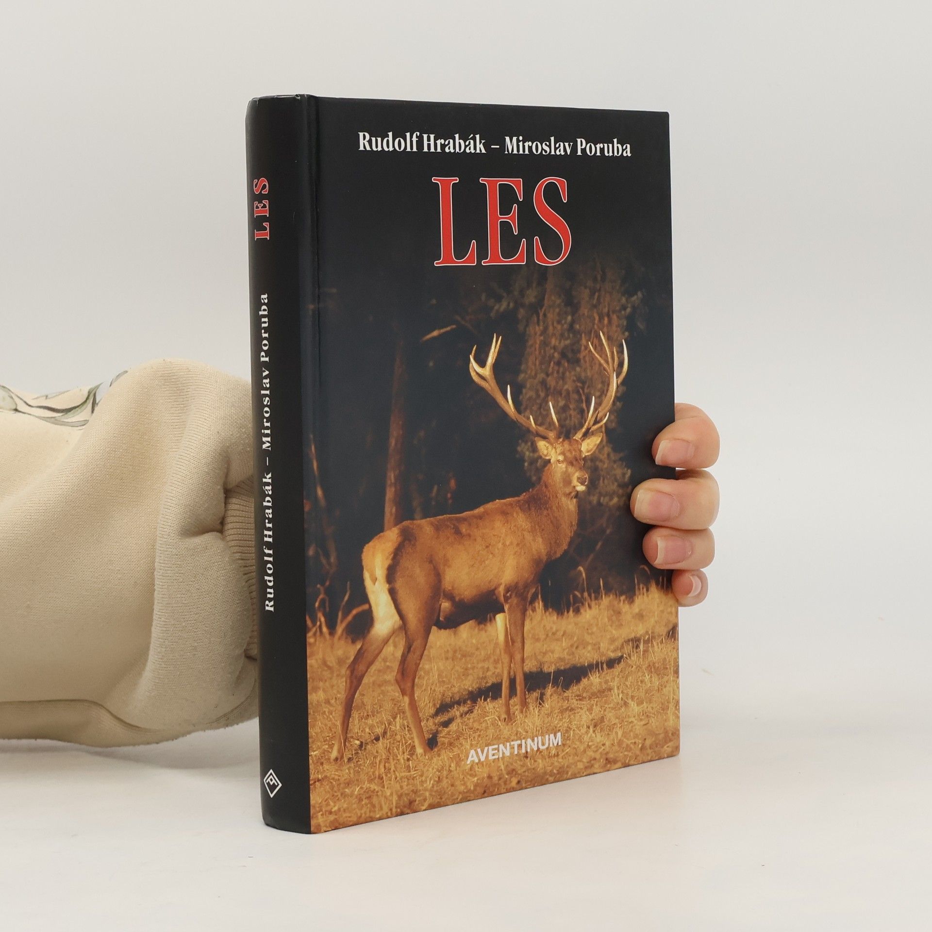 Rudolf Hrabák Les