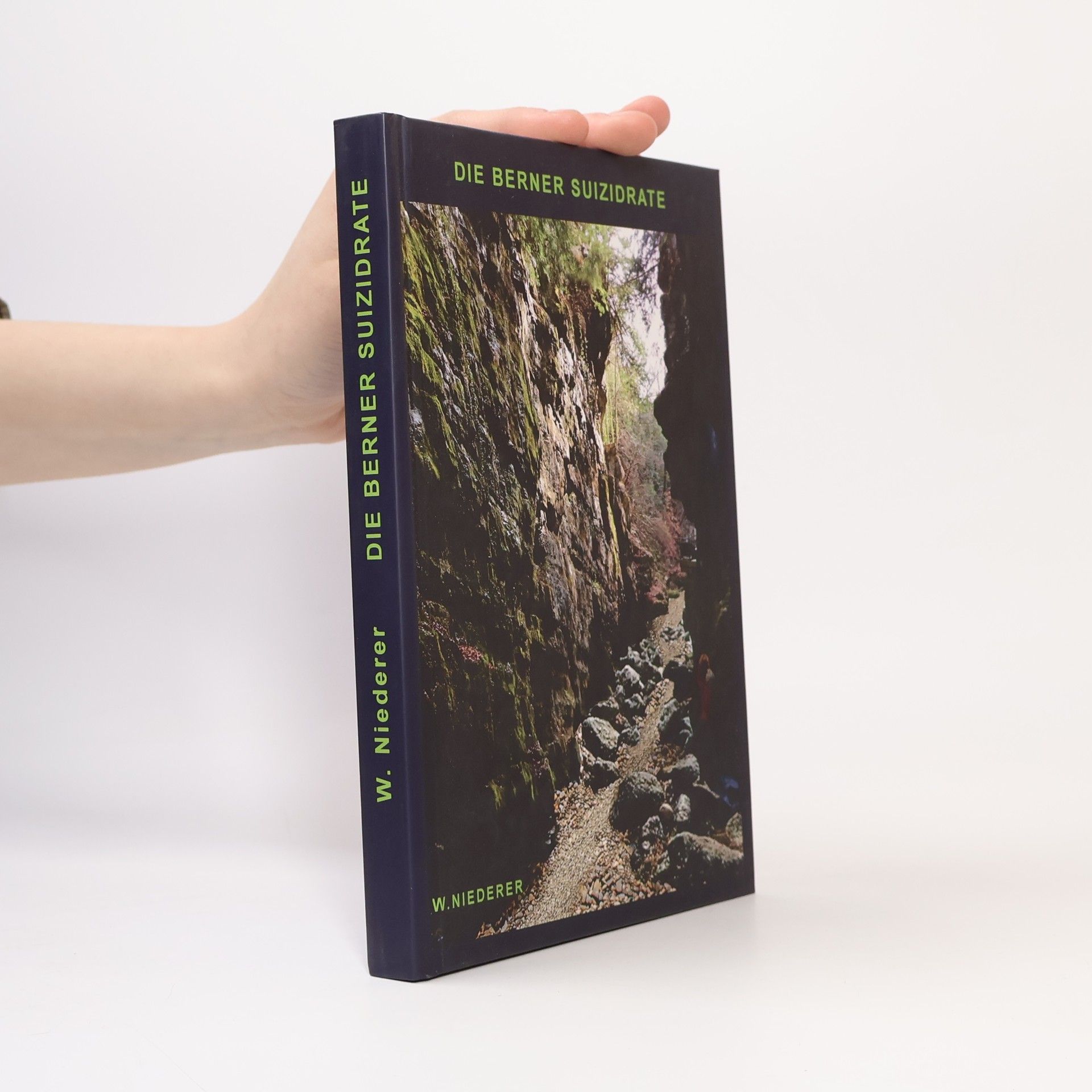 Die Berner Suizidrate