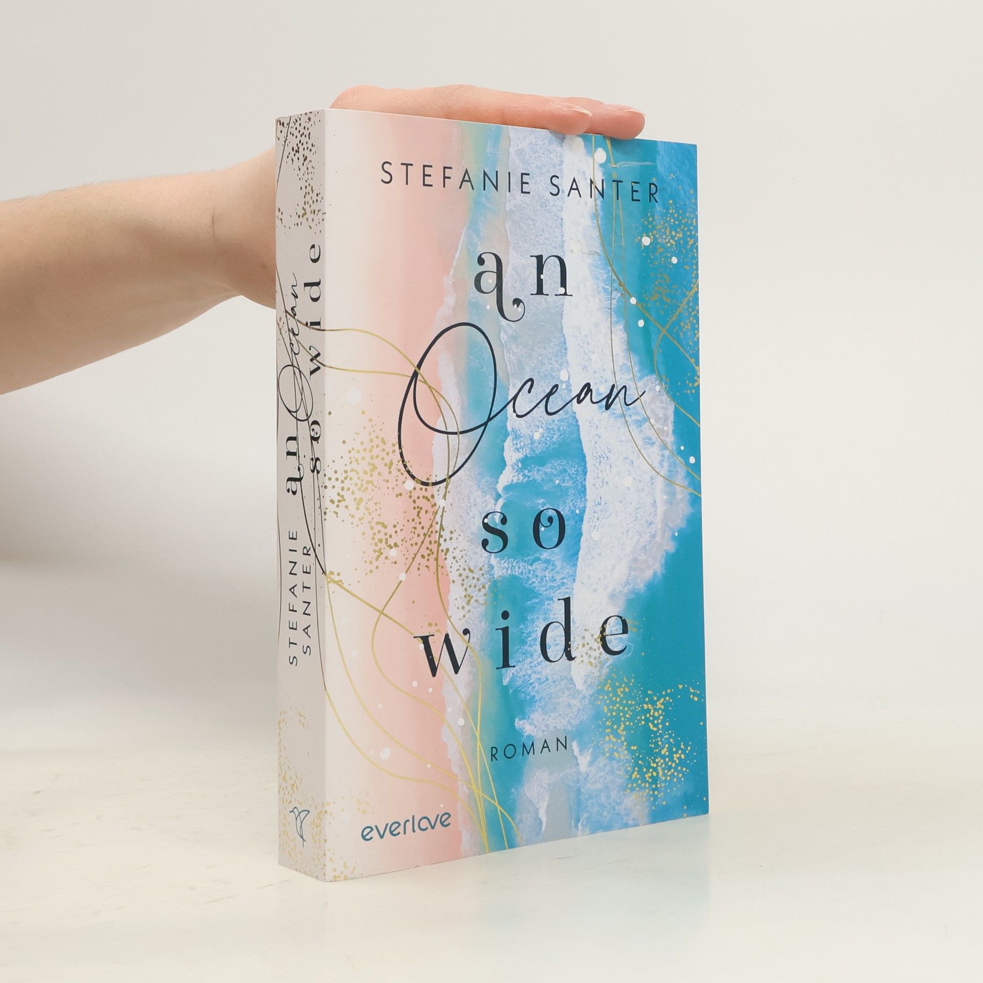 Stefanie Santer An Ocean so Wide