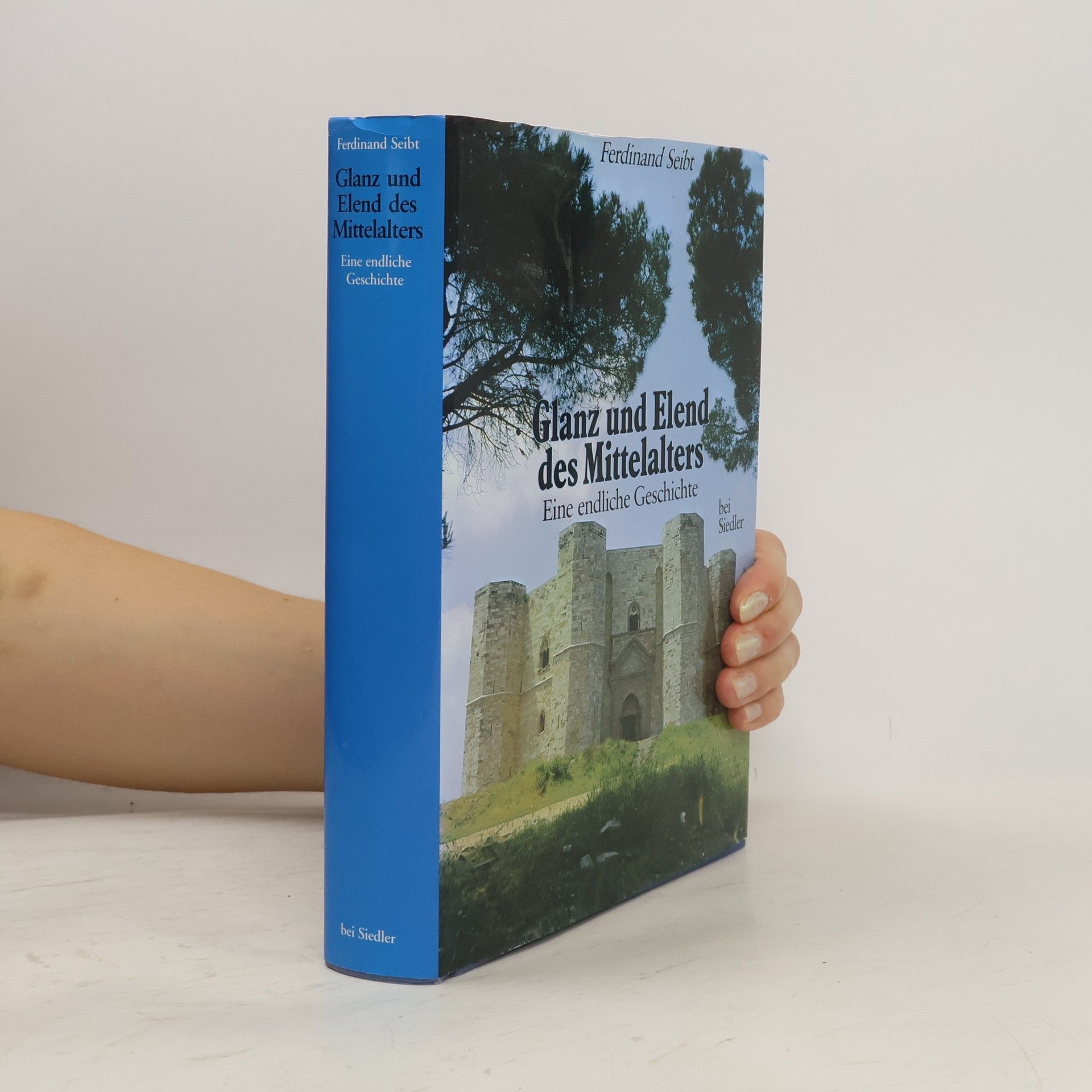 Ferdinand Seibt Glanz und Elend des Mittelalters. Eine endliche Geschichte
