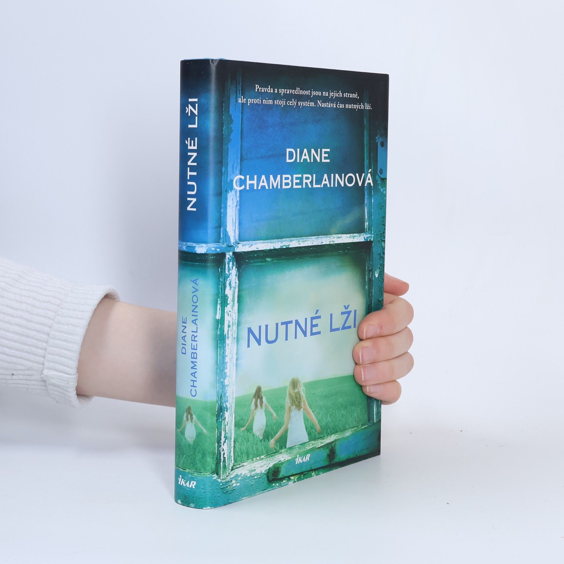 Diane Chamberlain Nutné lži