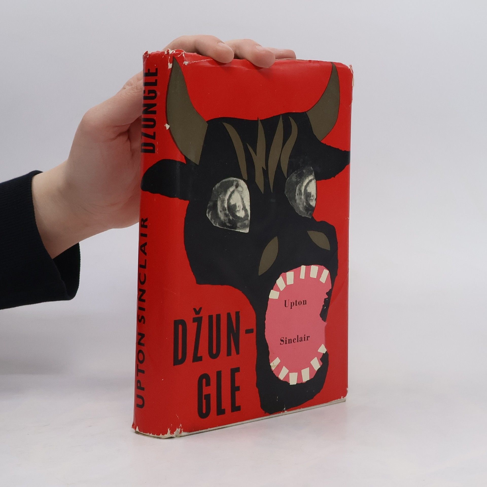 Upton Sinclair Džungle