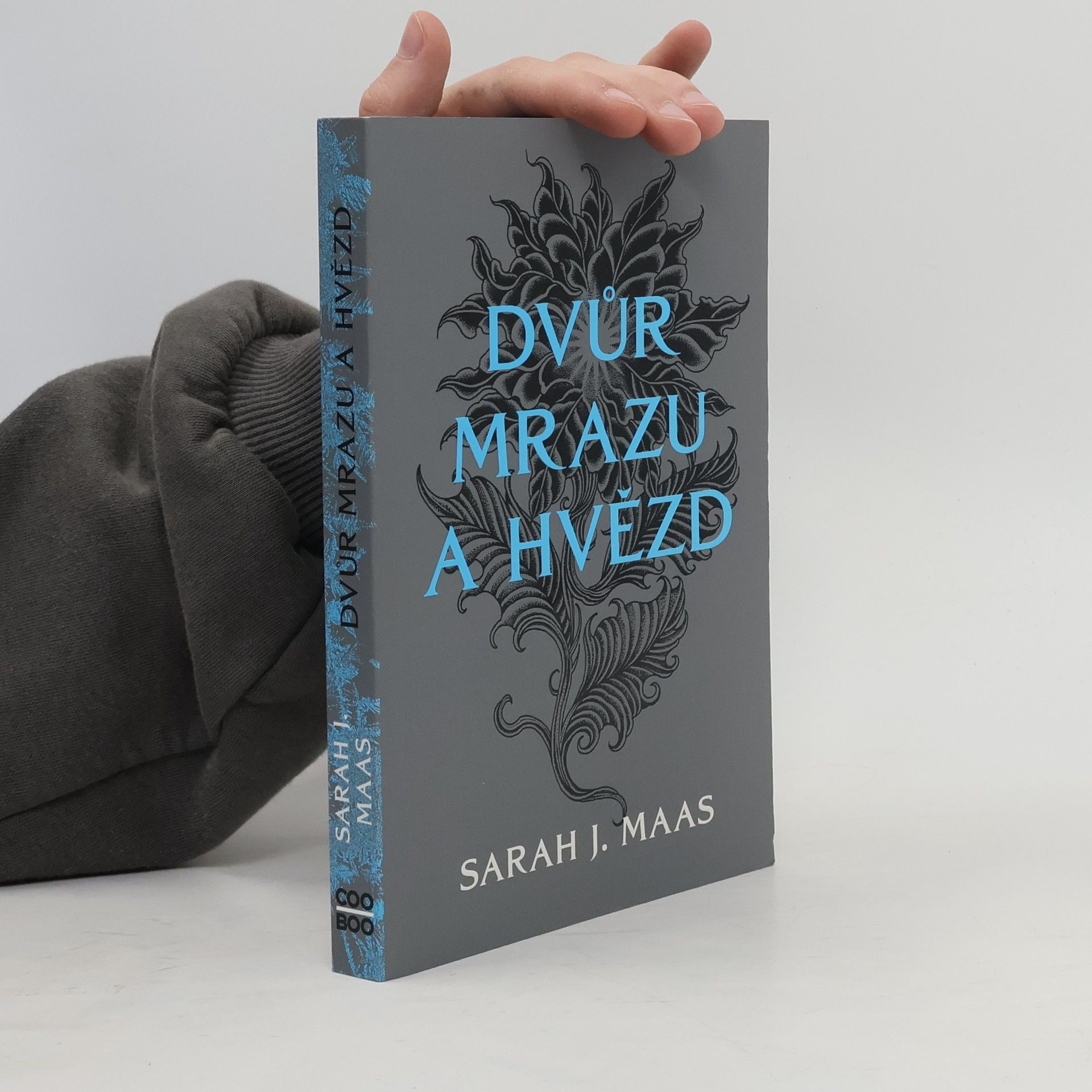 Sarah J. Maas Dvůr mrazu a hvězd