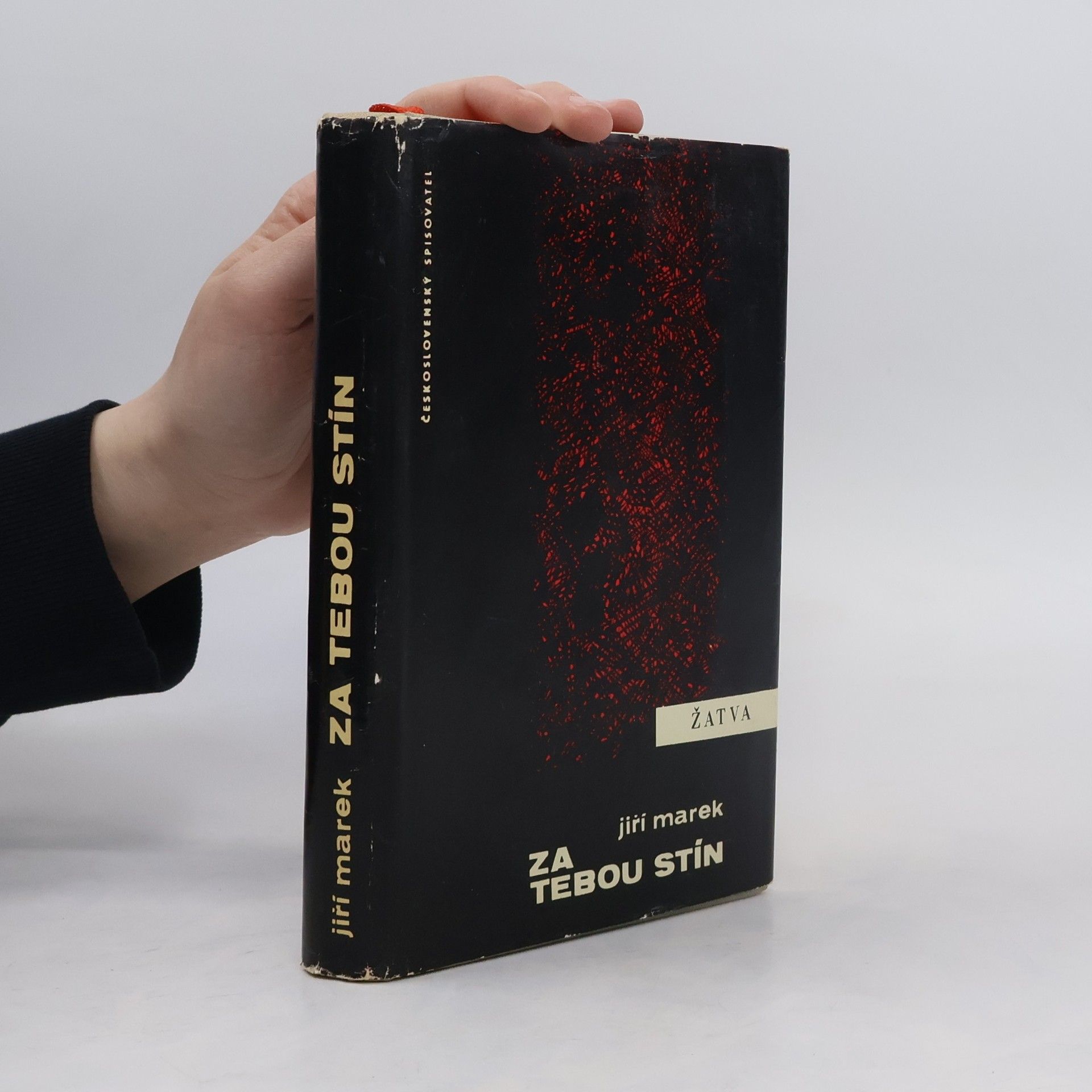 Jiří Marek Za tebou stín