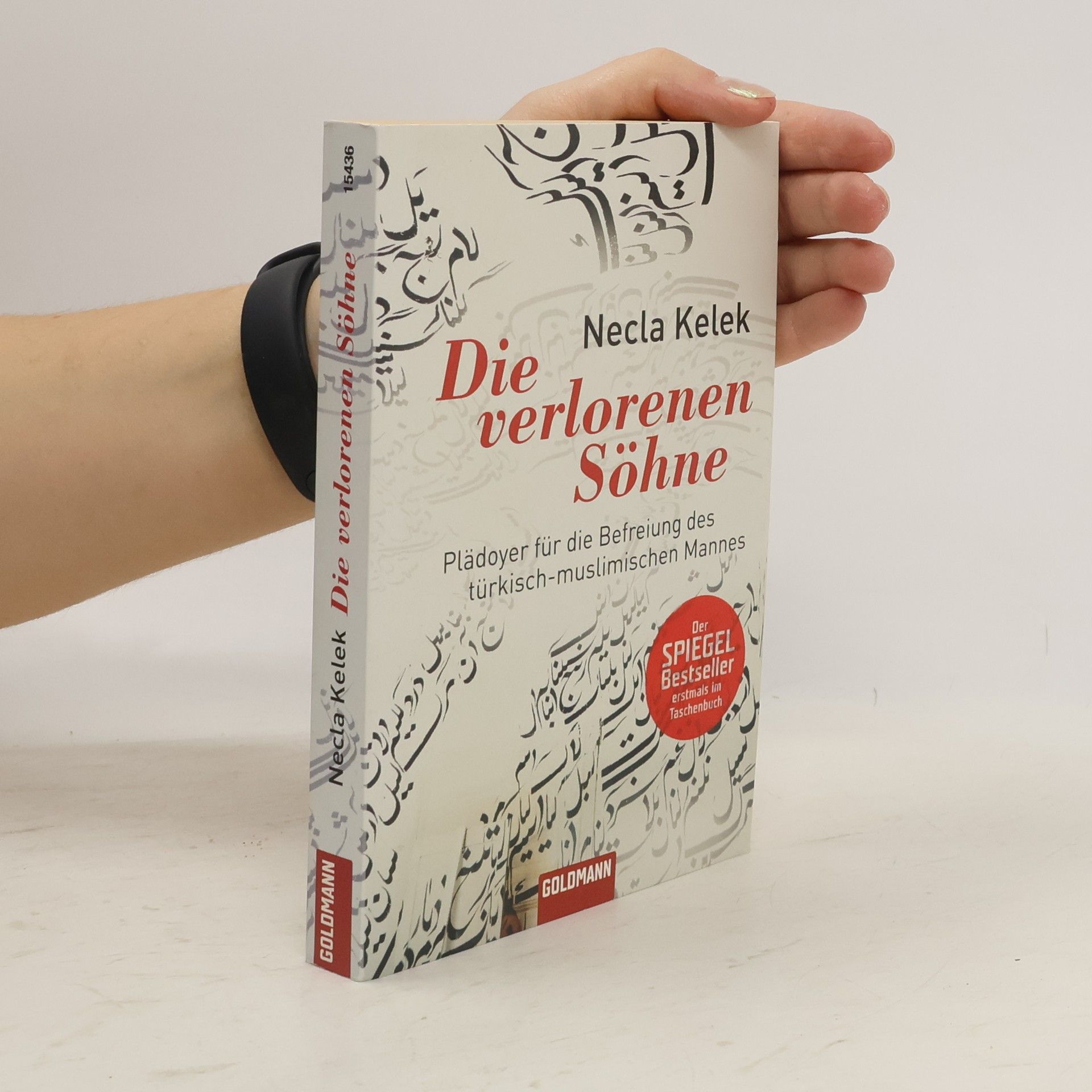 Die verlorenen Söhne