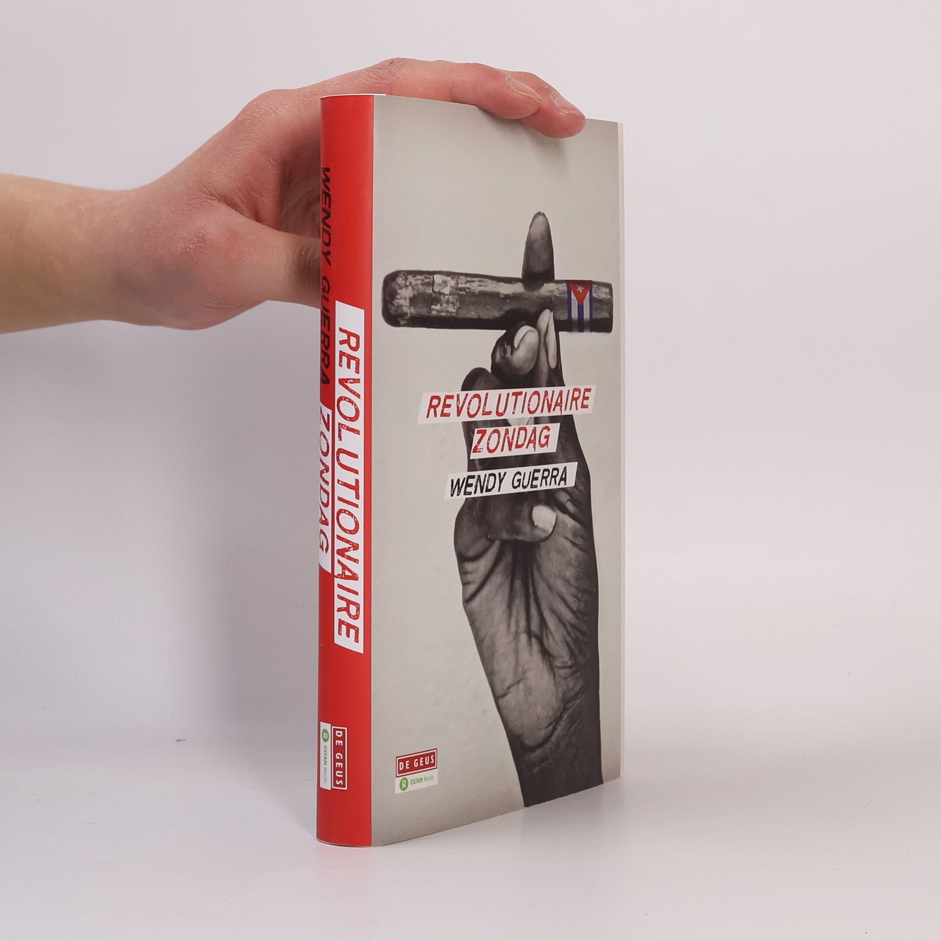 Irene van de Mheen Revolutionaire zondag