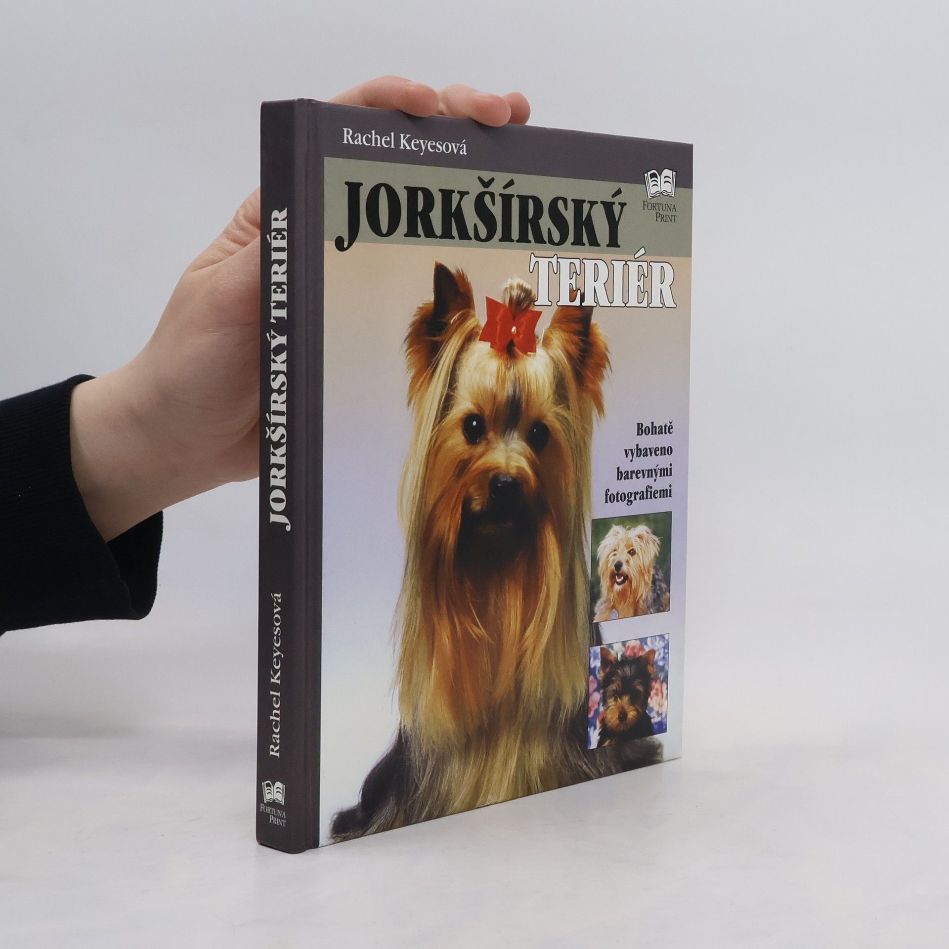 Rachel Keyes Jorkšírský teriér