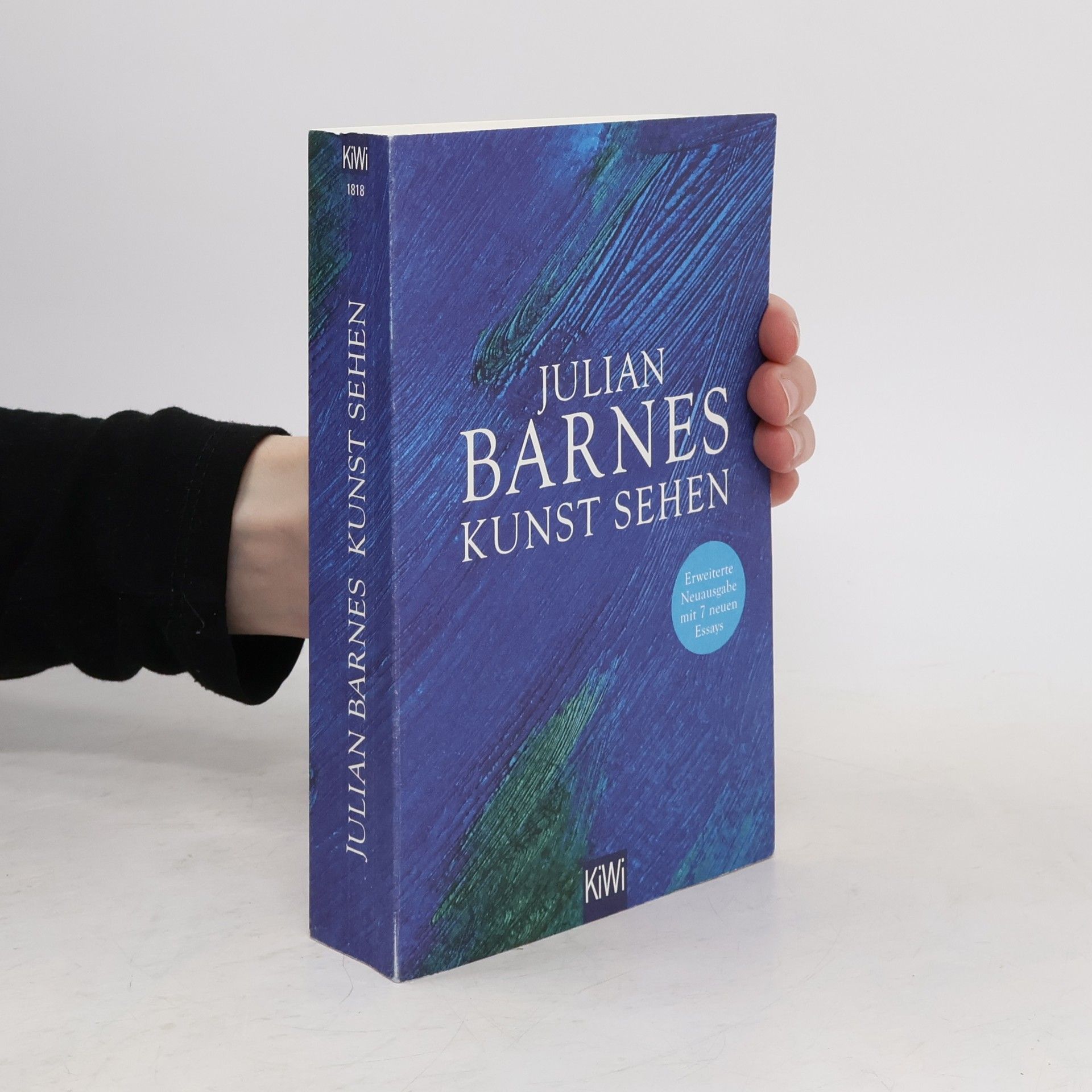 Julian Barnes Kunst sehen
