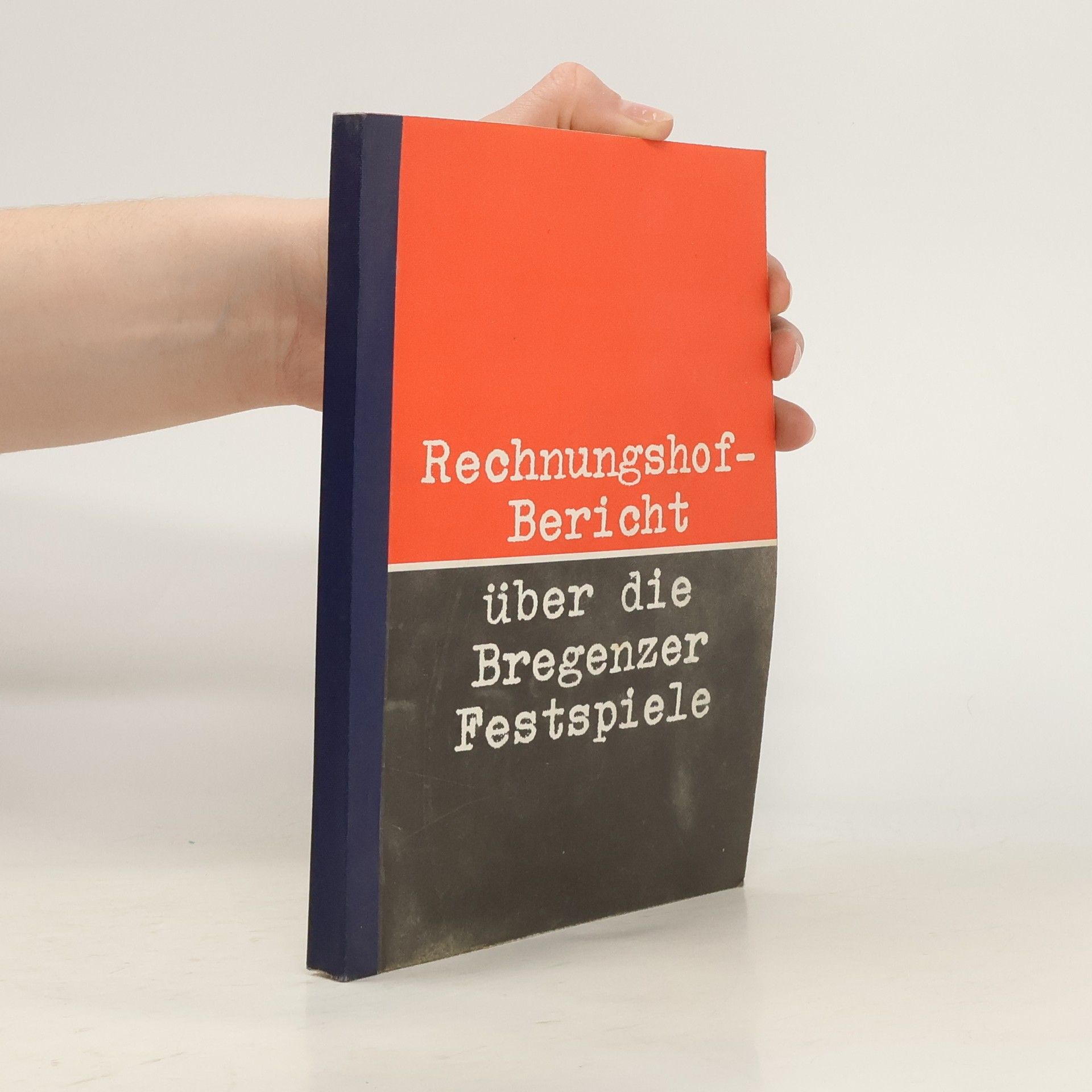 Autorenkollektiv Bericht des Rechnungshofes