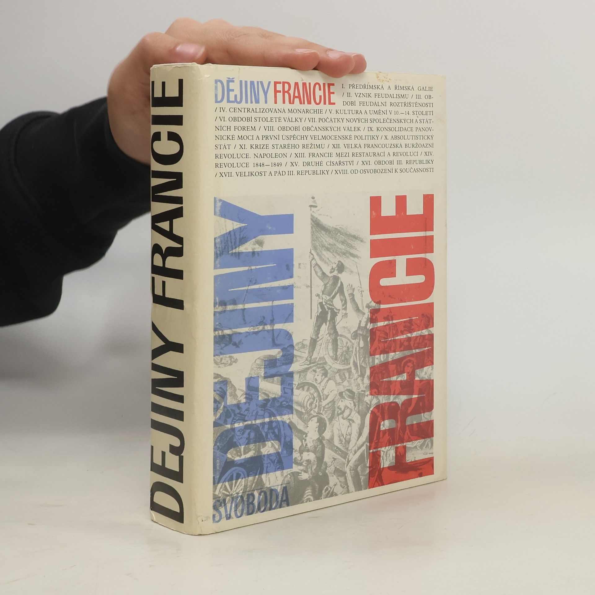 Kolektiv autorů Dějiny Francie