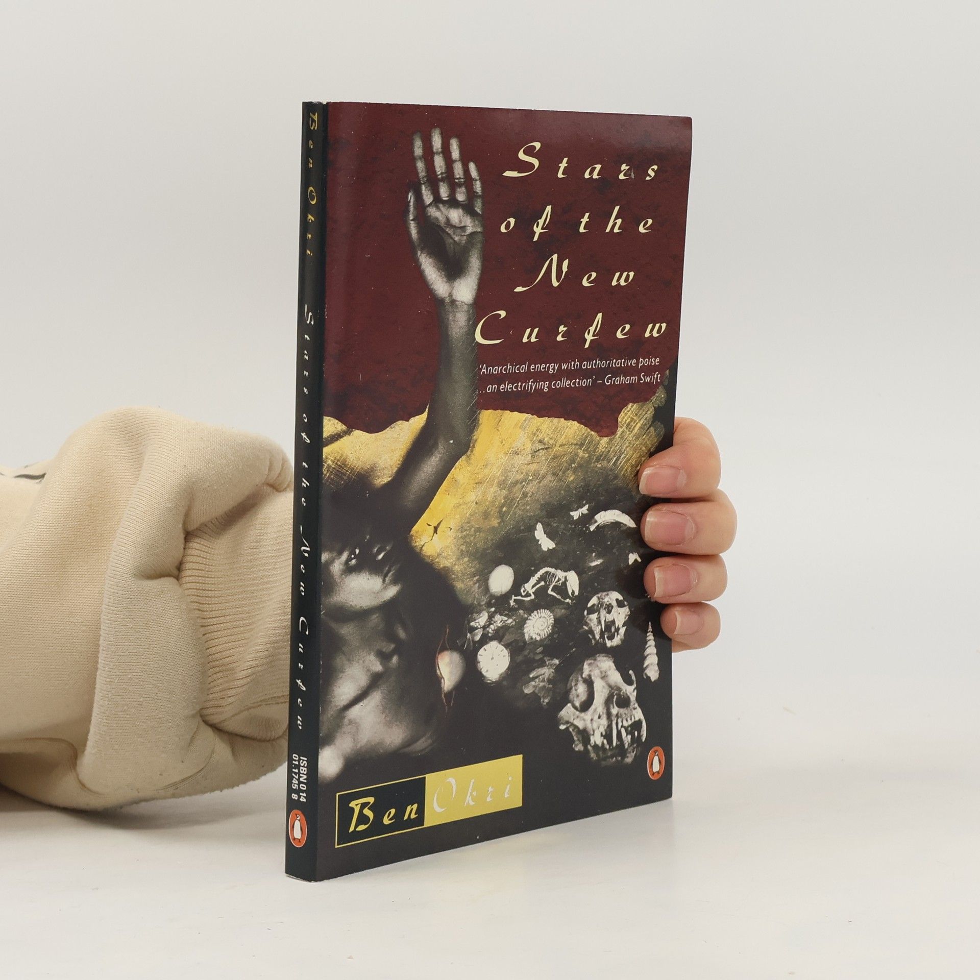 Ben Okri Stars of the New Curfew