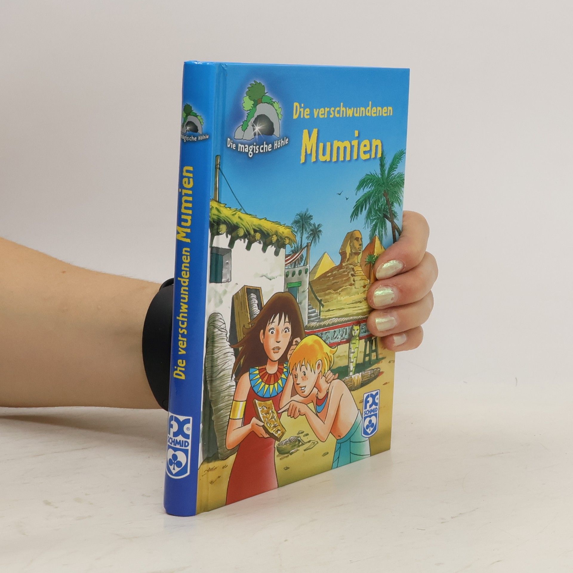 Kolektiv autorů Die verschwundenen Mumien