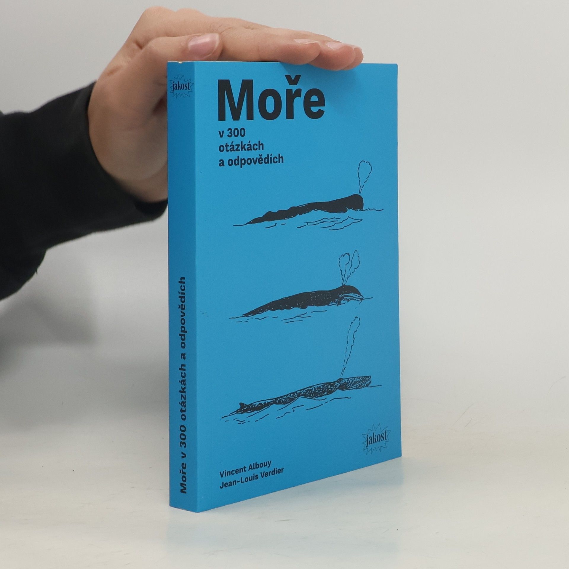 Vincent Albouy Moře v 300 otázkách a odpovědích