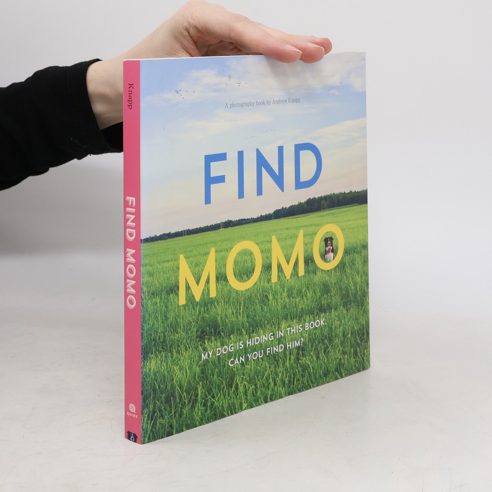 Andrew Knapp Find Momo