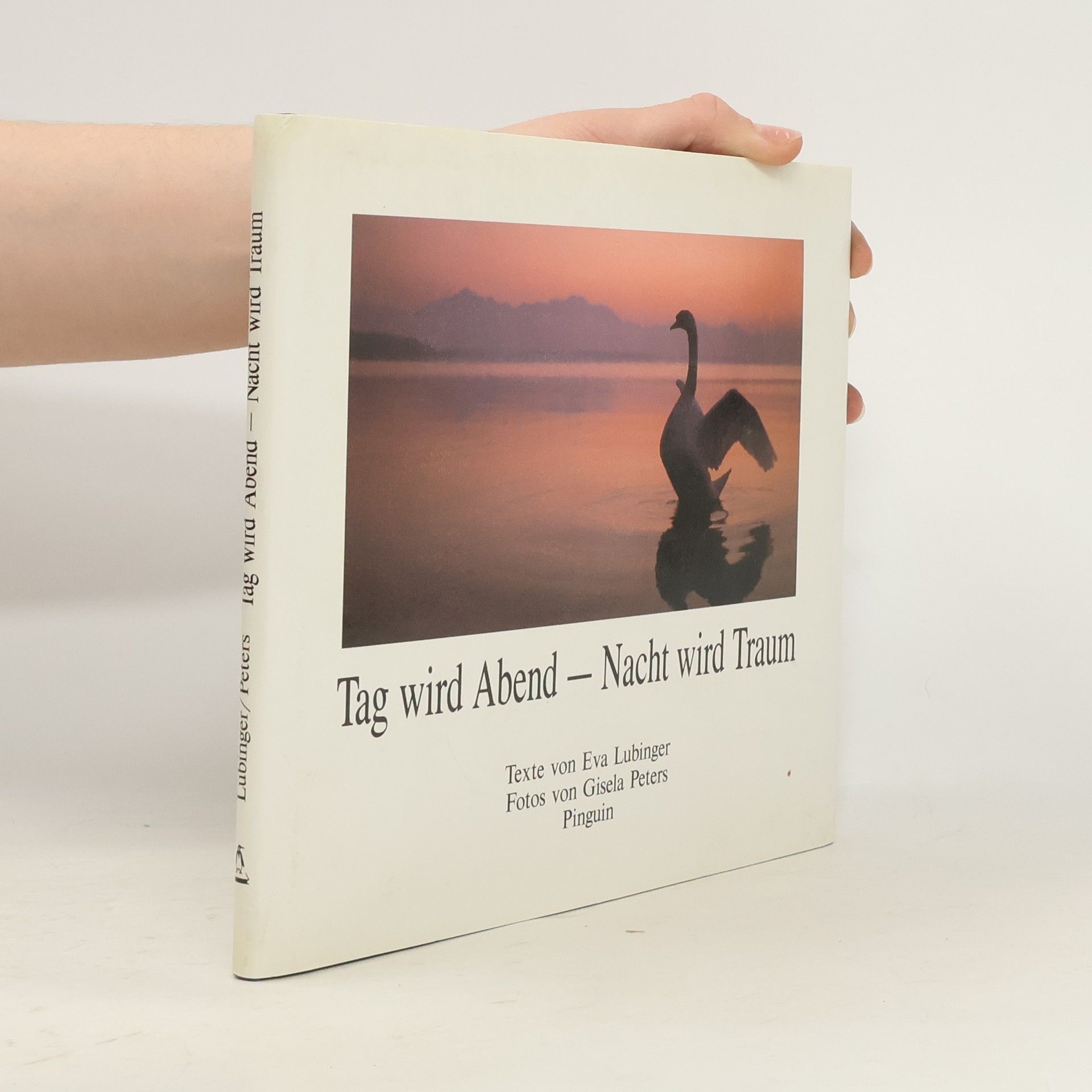 Gisela Peters Tag wird Abend - Nacht wird Traum