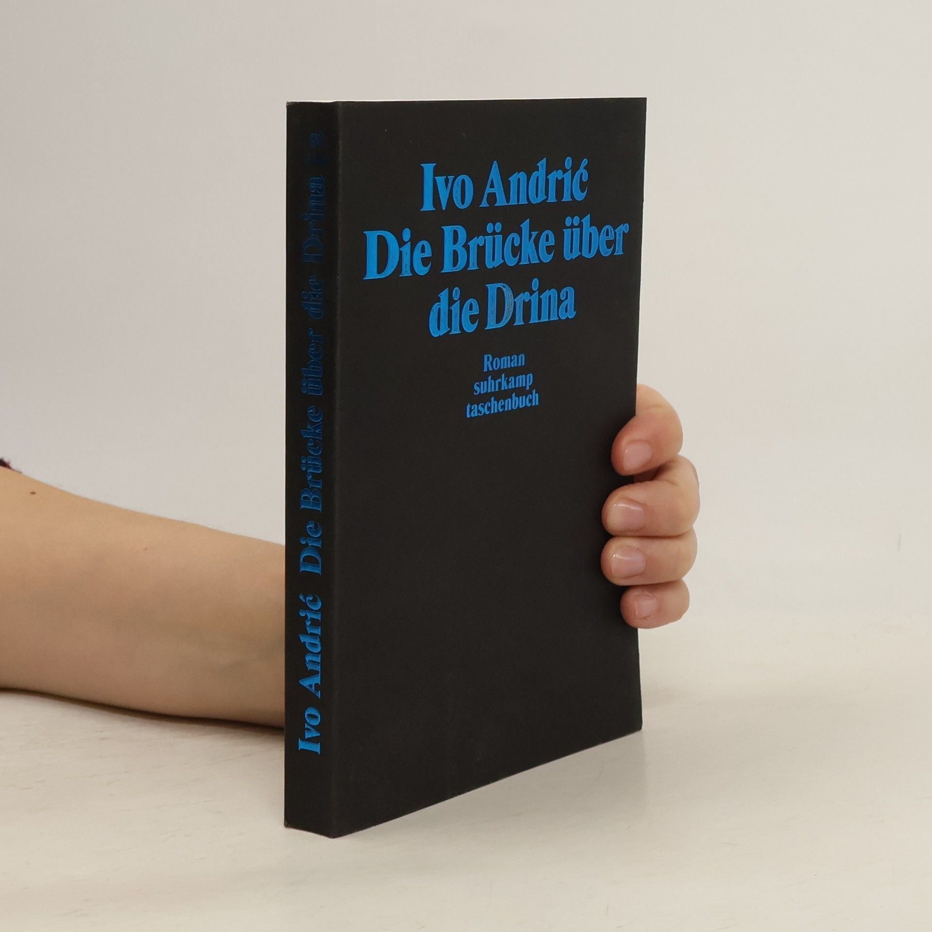 Ivo Andrić Die Brücke über die Drina