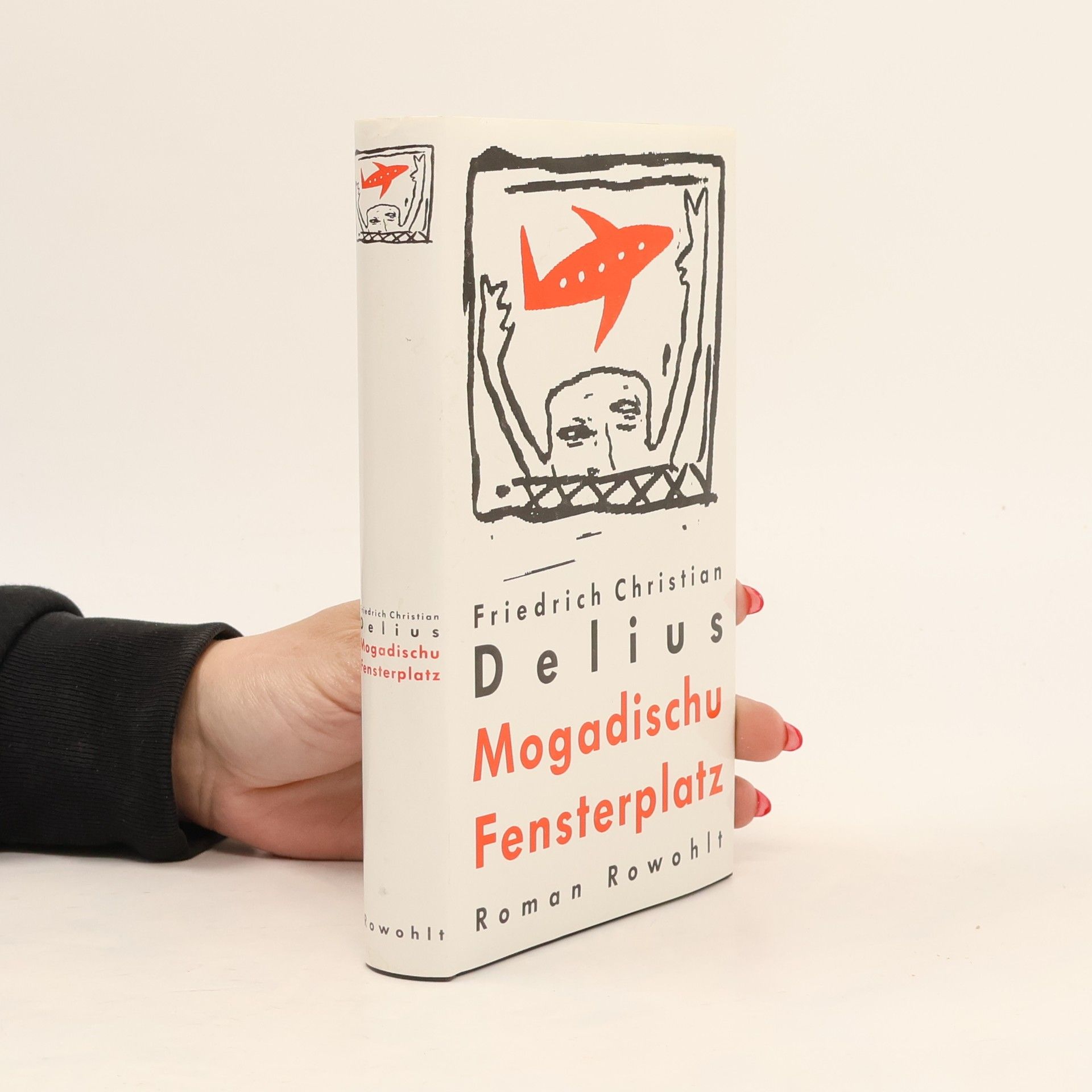 Friedrich Christian Delius Mogadischu Fensterplatz