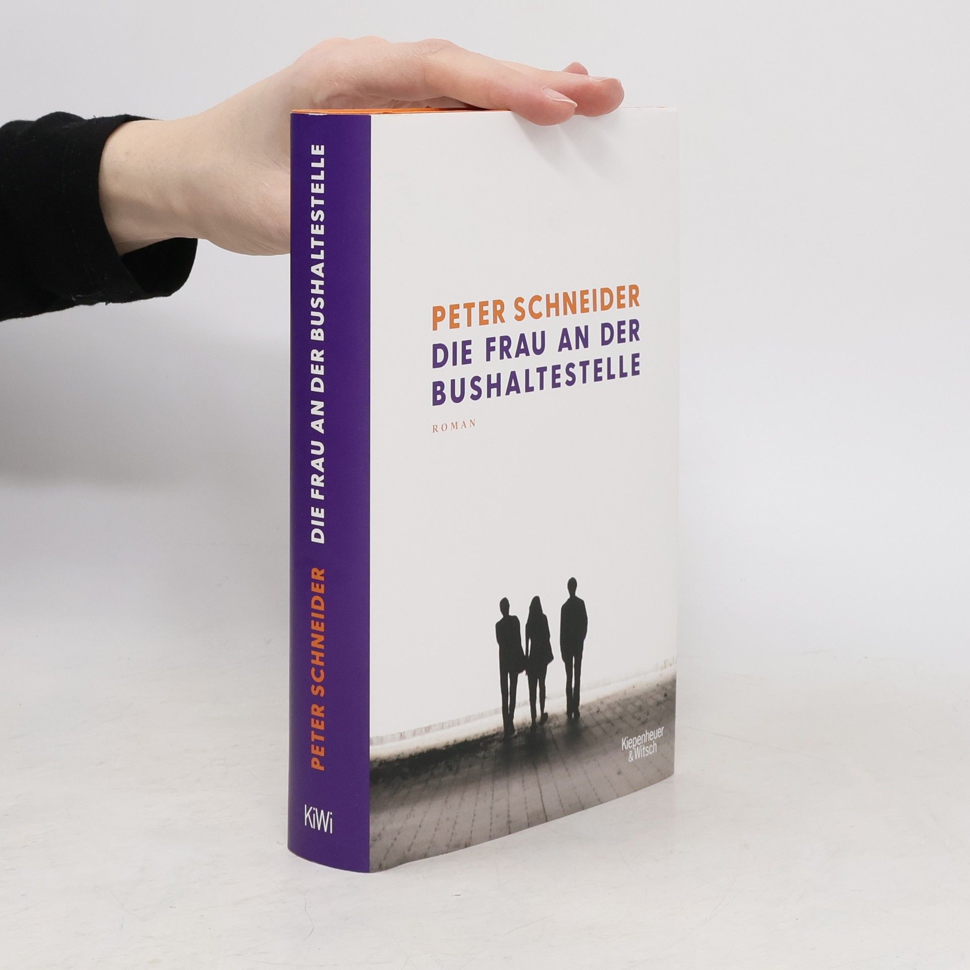 Peter K. Schneider Die Frau an der Bushaltestelle
