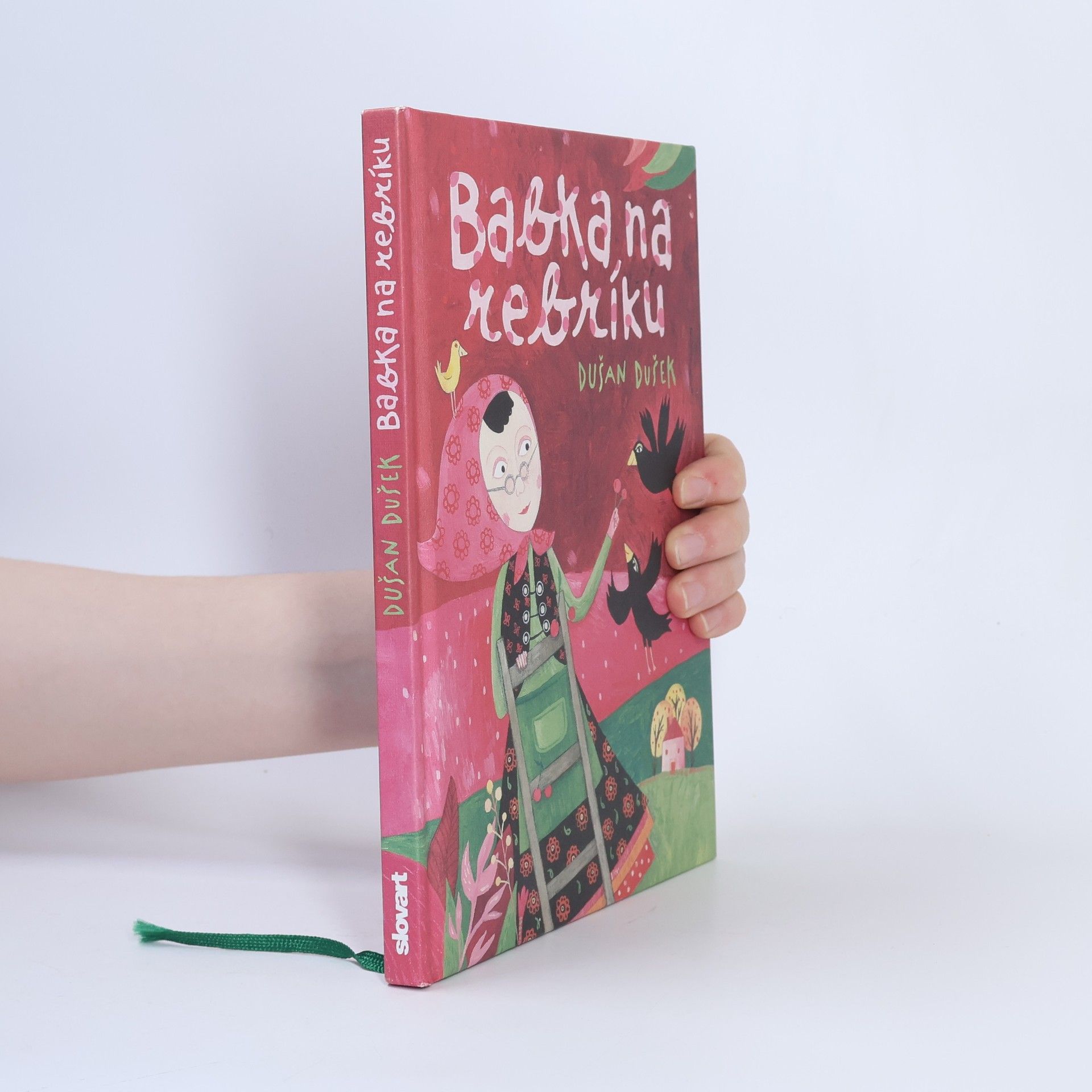 Dušan Dušek Babka na rebríku