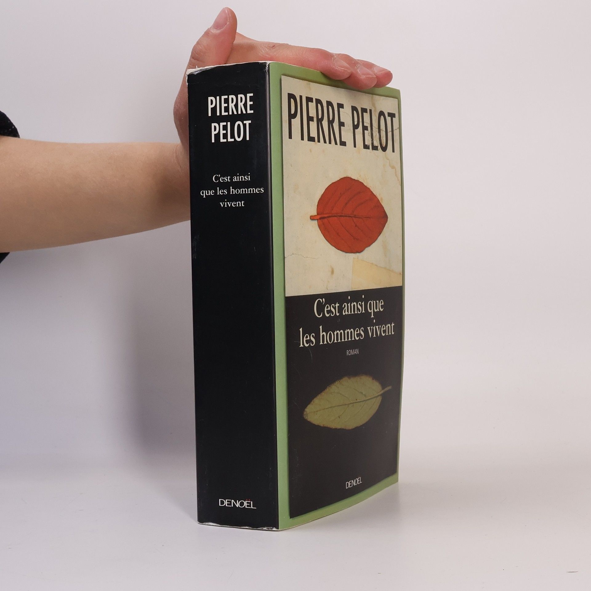 Pierre Pelot C'est ainsi que les hommes vivent