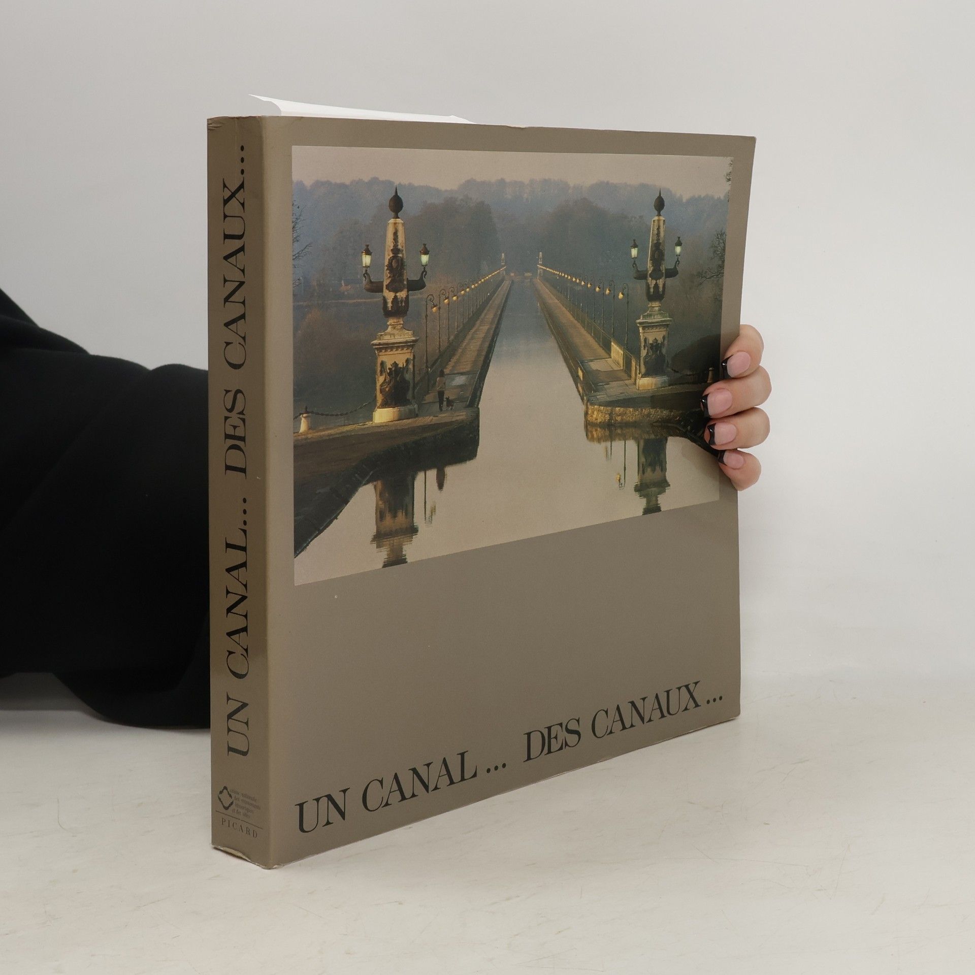 Pierre Pinon Un canal... des canaux