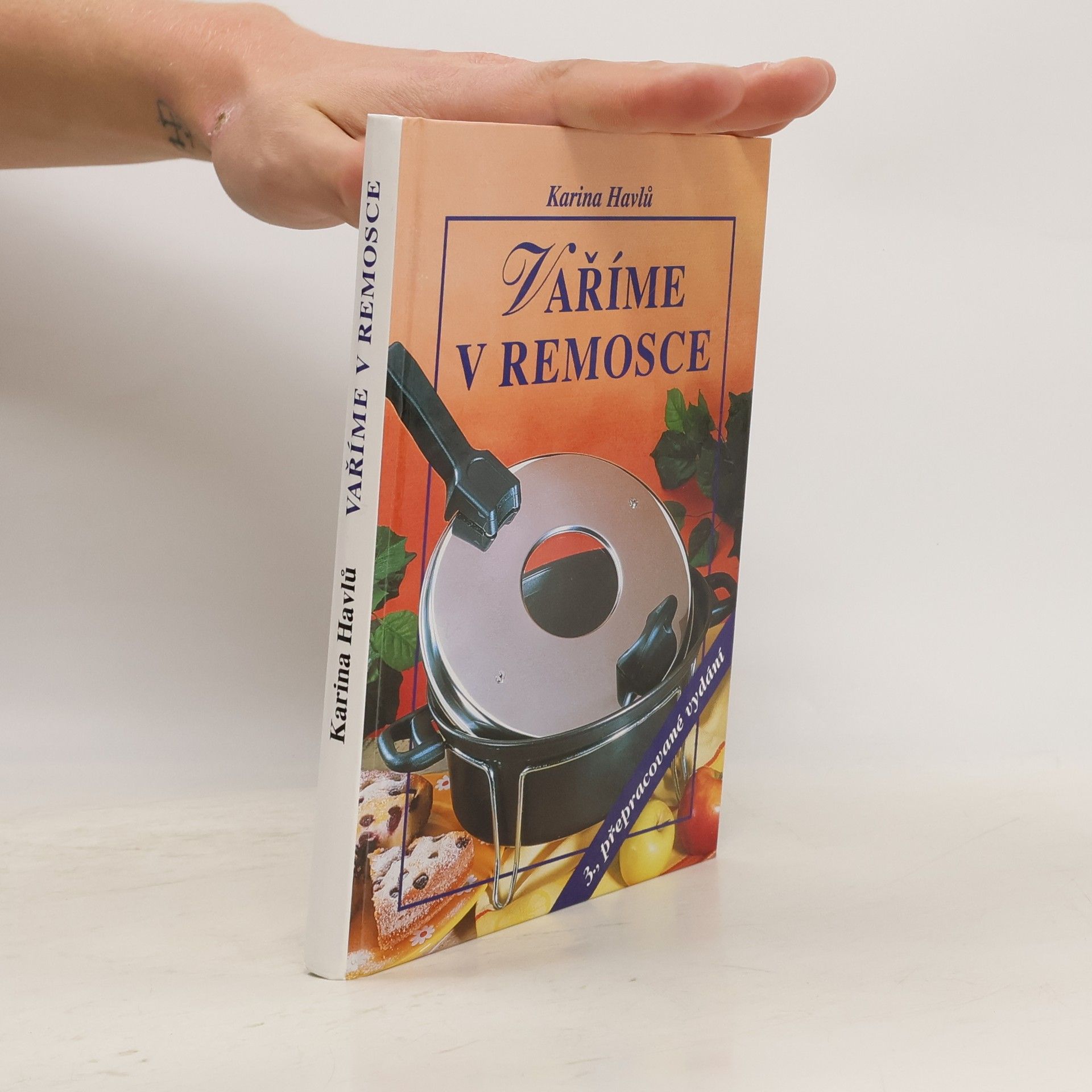 Karina Havlů Vaříme v remosce