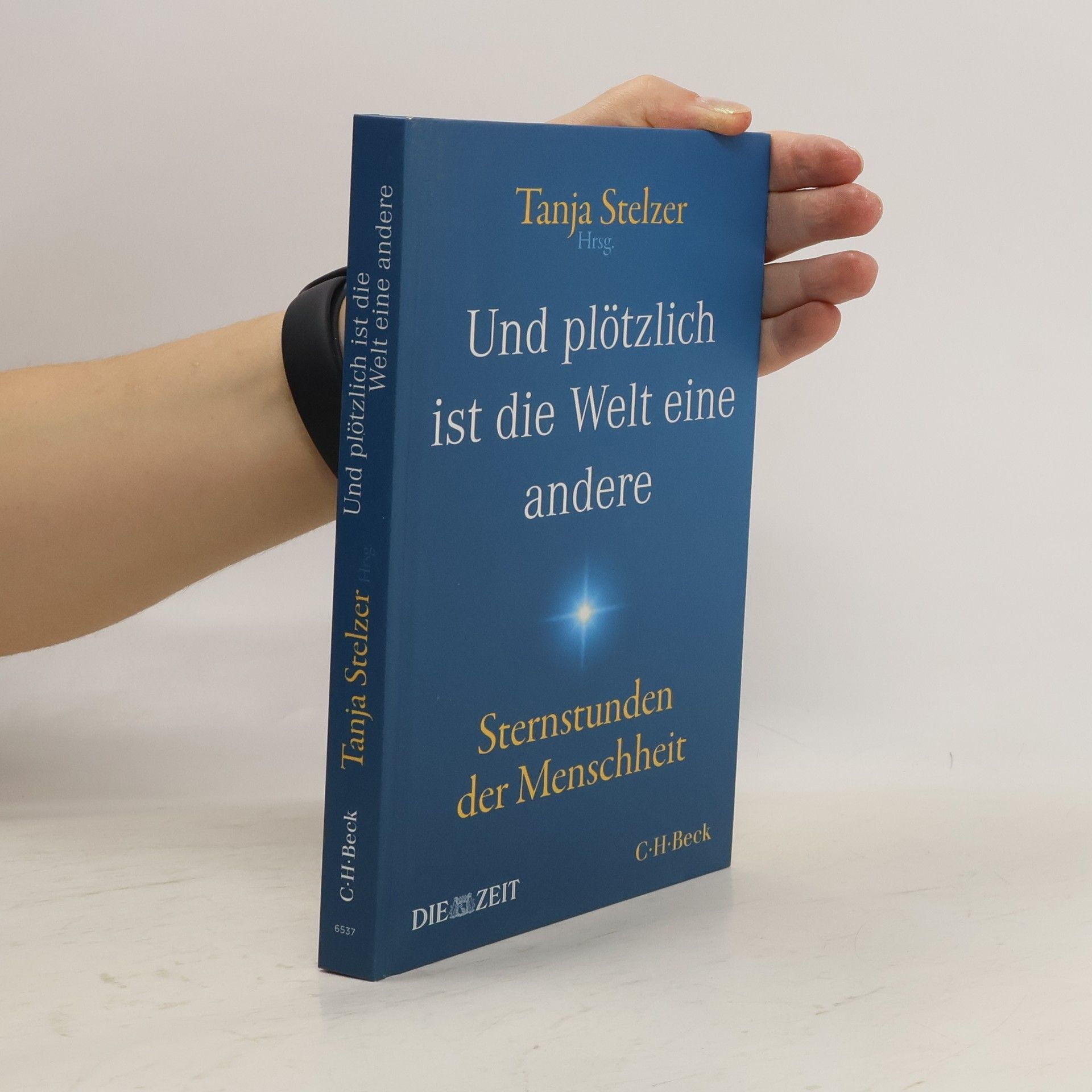Tanja Stelzer Und plötzlich ist die Welt eine andere