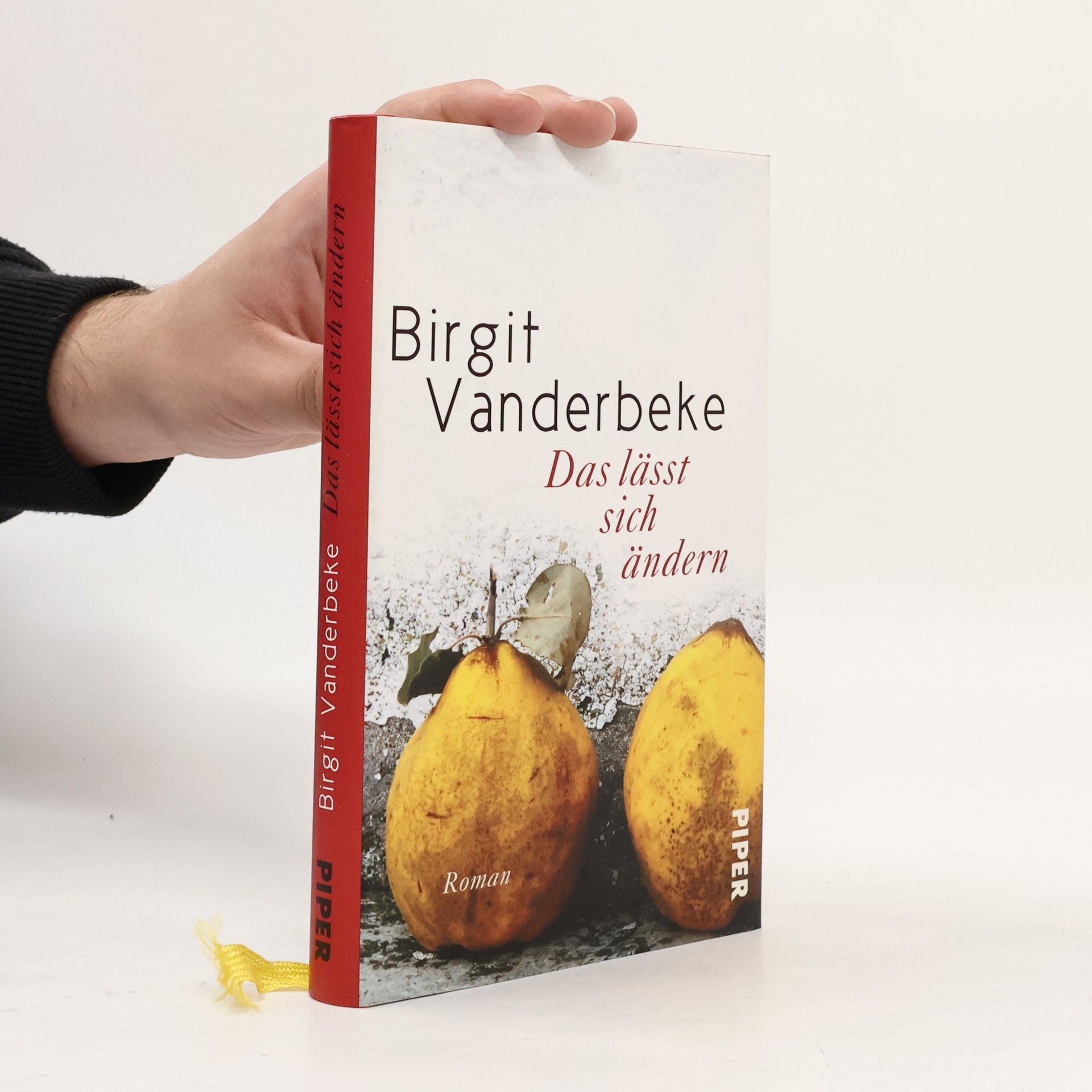 Birgit Vanderbeke Das lässt sich ändern