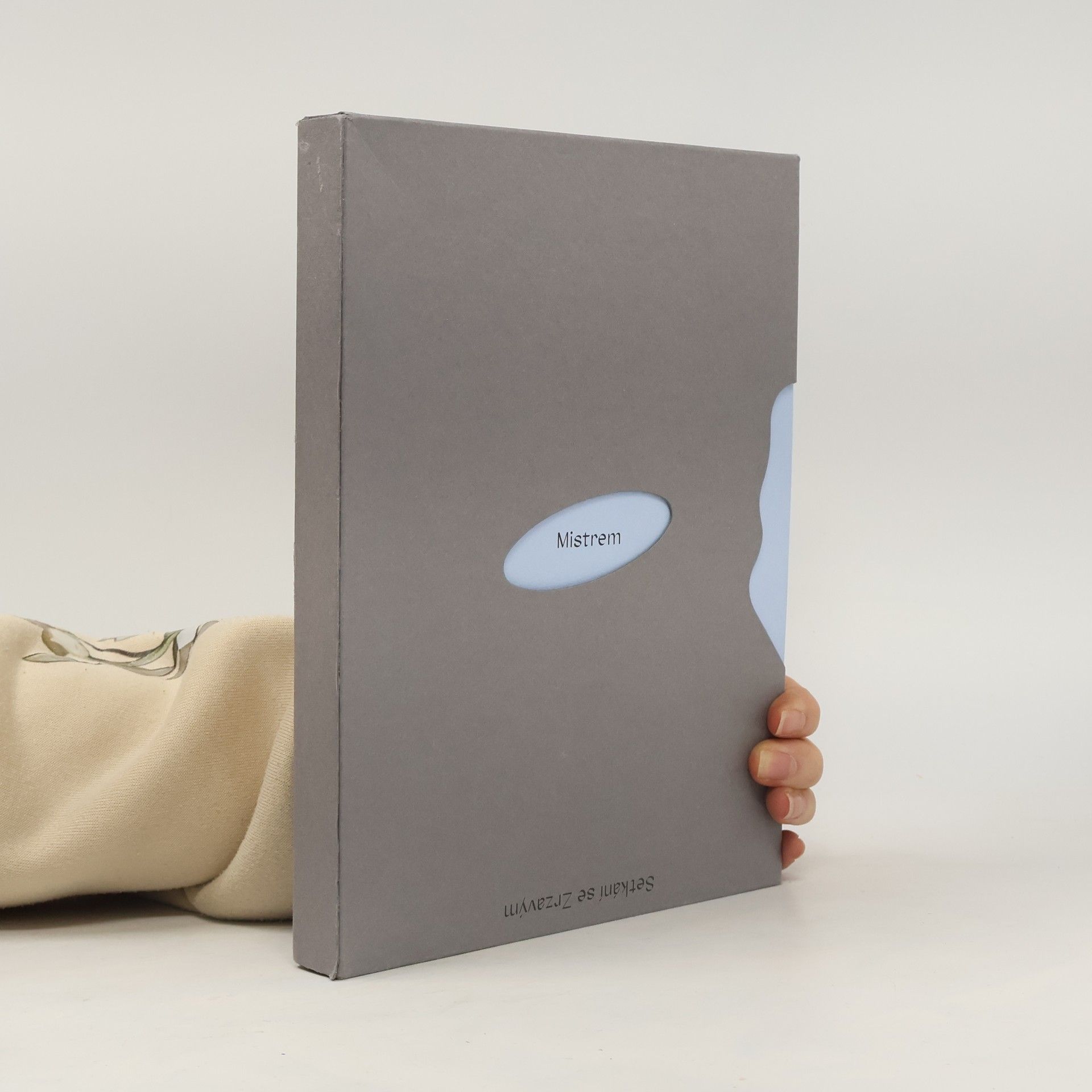 Kolektív autorov Setkání se Zrzavým