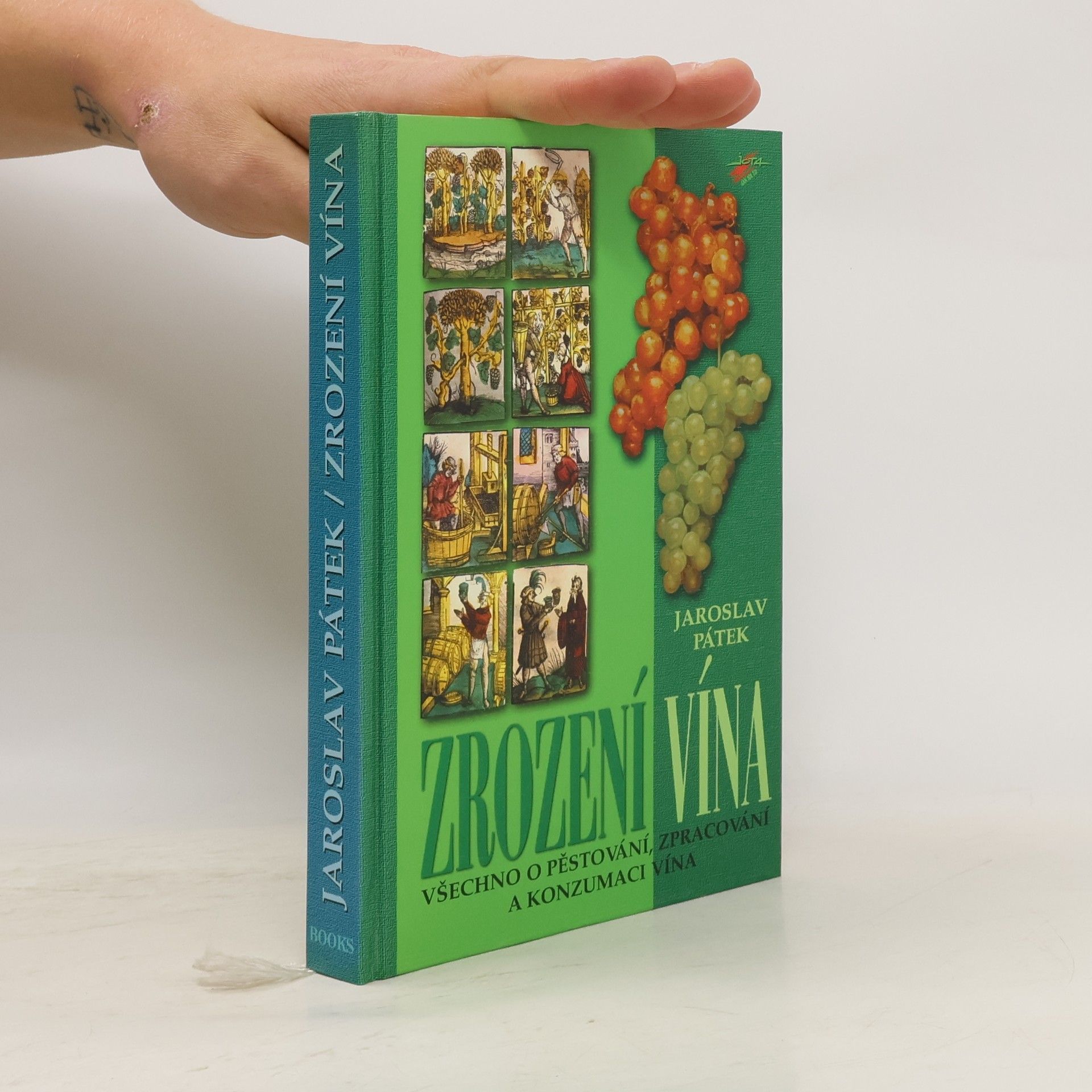 Jaroslav Pátek Zrození vína