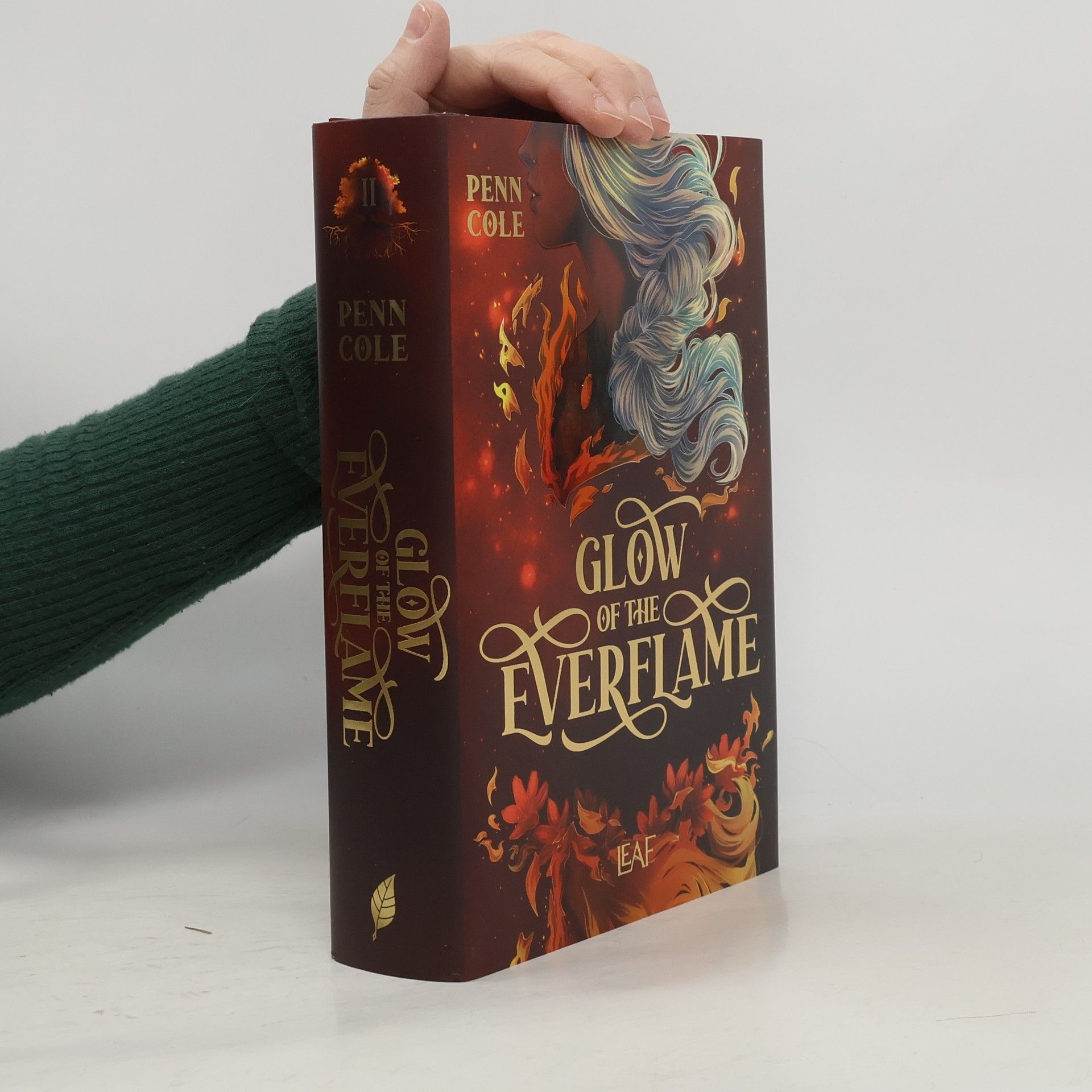 Penn Cole Glow of the Everflame / Kindred´s Curse Saga Bd.2