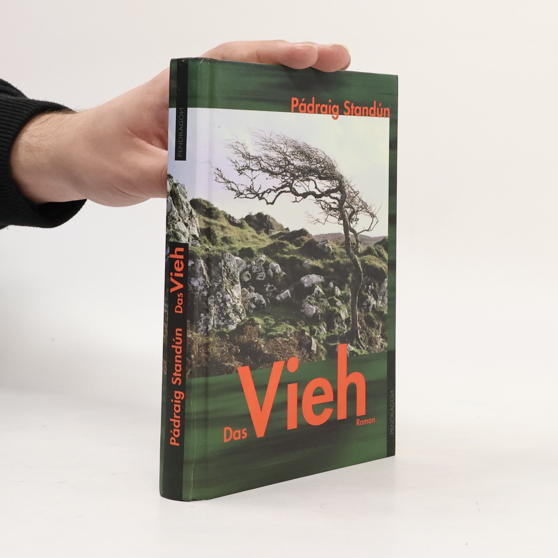 Pádraig Standún Das Vieh: Übertr. aus d. Irischen v. Gabriele Haefs.