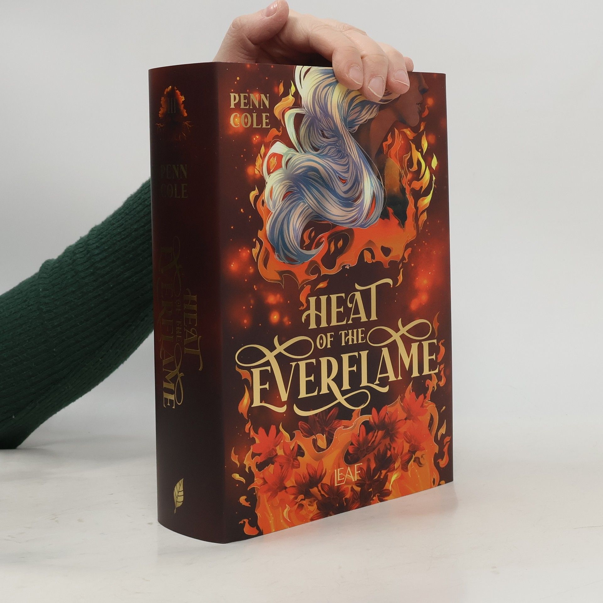 Penn Cole Heat of the Everflame / Kindred´s Curse Saga Bd.3
