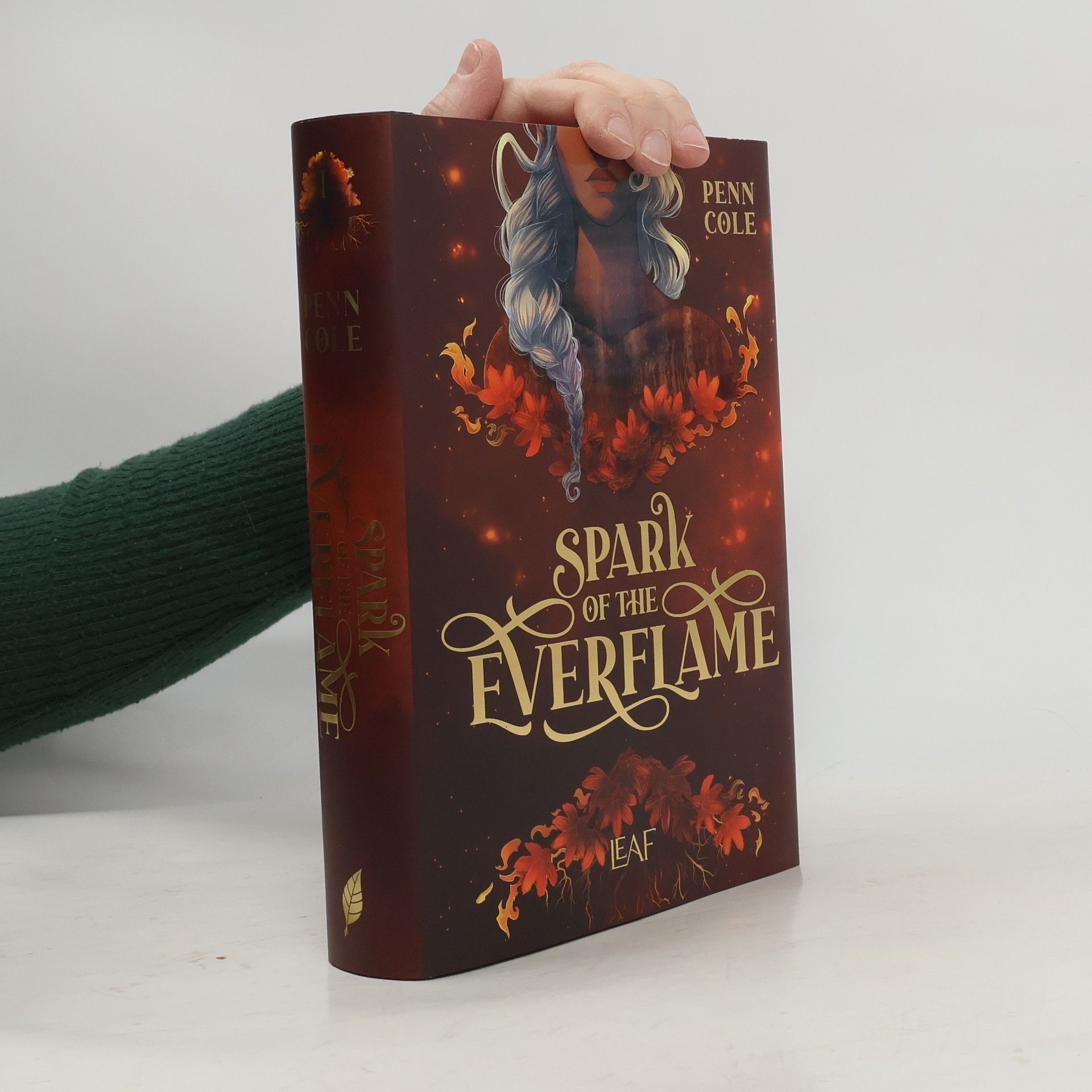 Penn Cole Spark of the Everflame / Kindred´s Curse Saga Bd.1