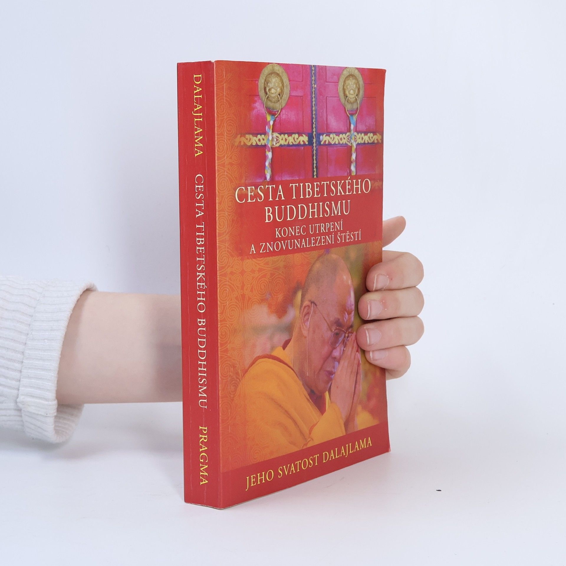 Dalajlama Cesta tibetského buddhismu: Konec utrpení a znovunalezení štěstí