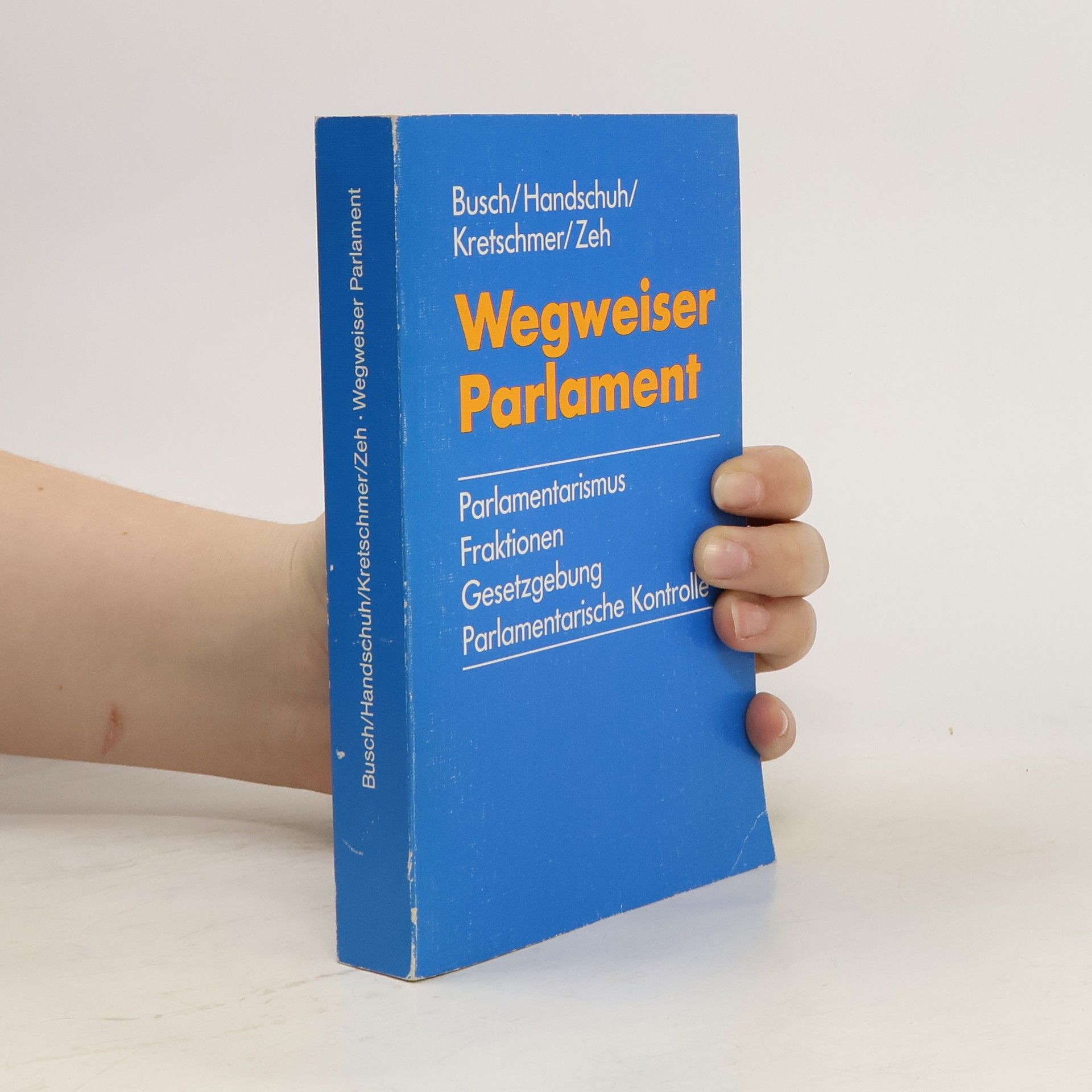 Wegweiser Parlament : Parlamentarismus, Fraktionen, Gesetzgebung, Parlamentarische Kontrole